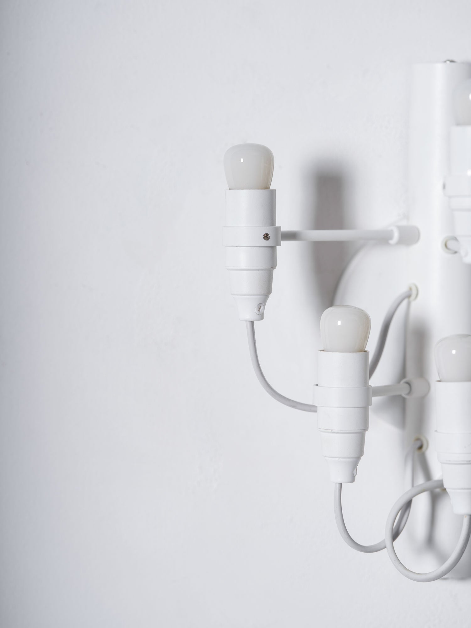 Fruit Wall Lamp - Blowlighting