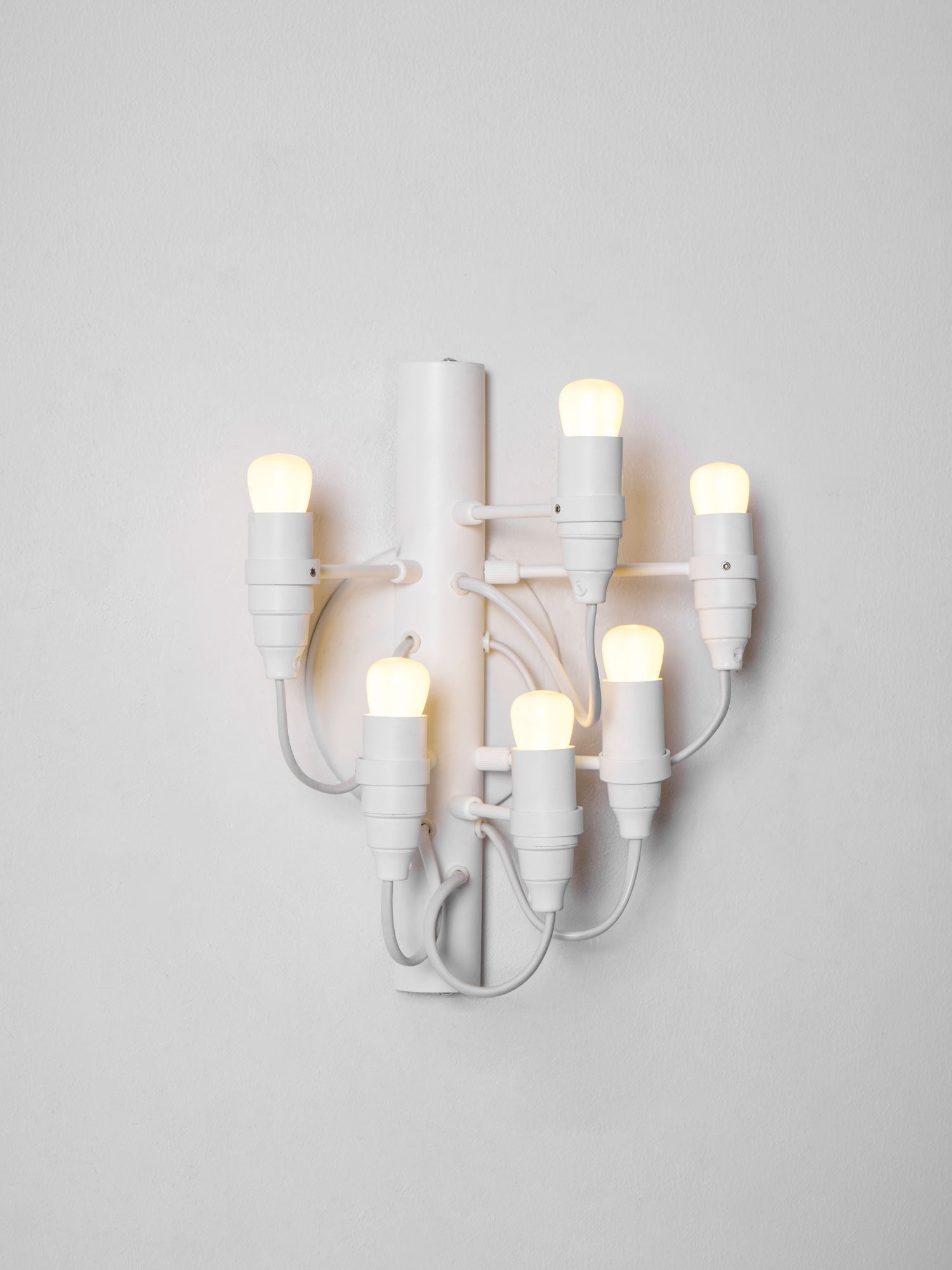 Fruit Wall Lamp - Blowlighting