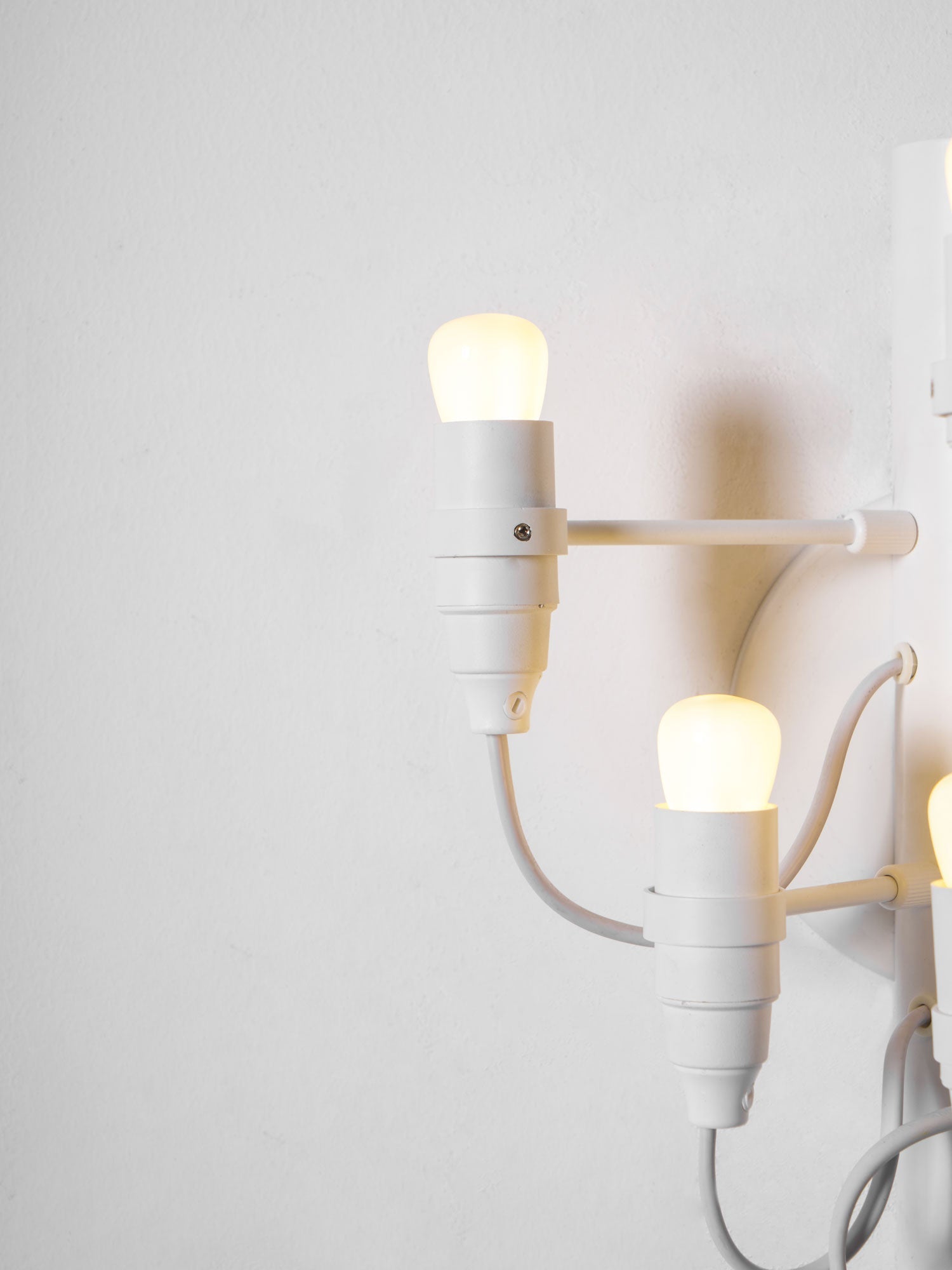 Fruit Wall Lamp - Blowlighting