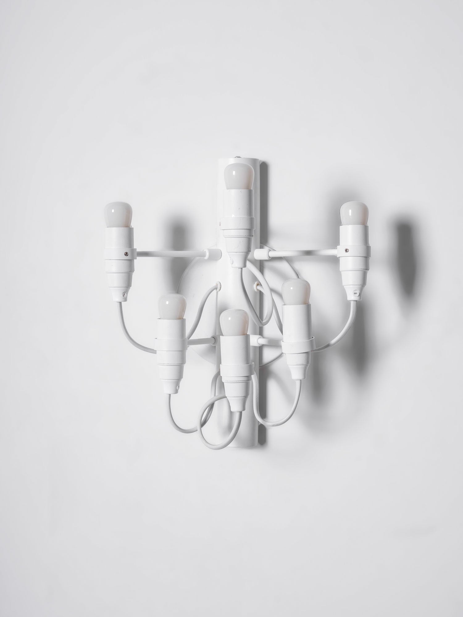 Fruit Wall Lamp - Blowlighting