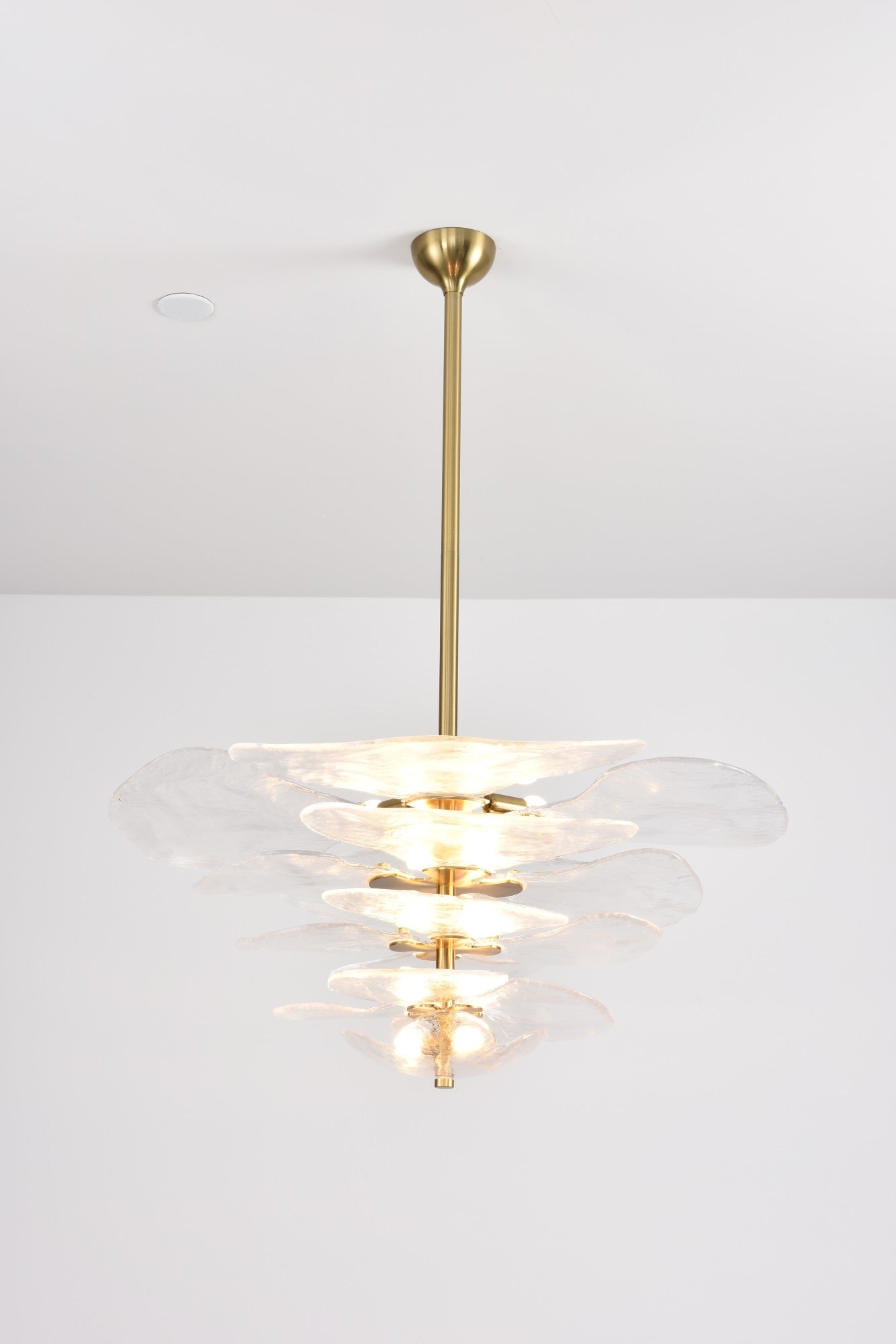 Aurora Chandelier Gold Murano Glass Petal Luxury - Blowlighting
