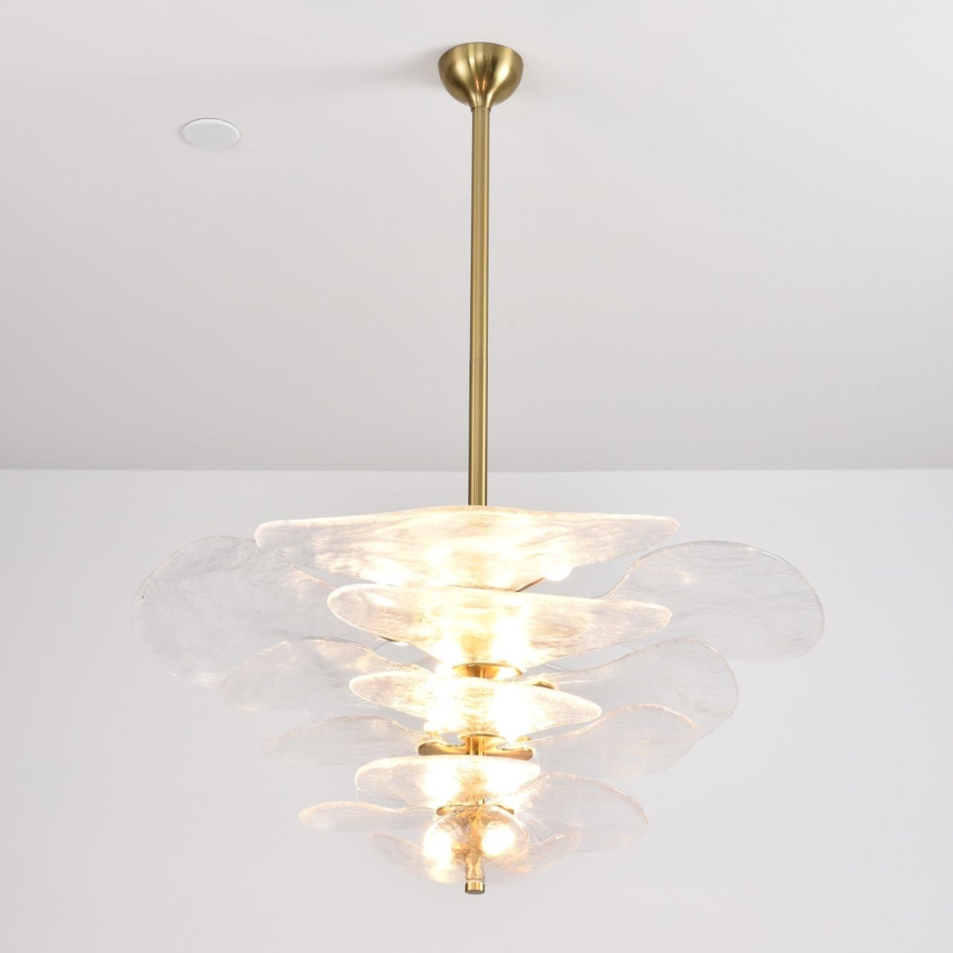 Aurora Chandelier Gold Murano Glass Petal Luxury - Blowlighting