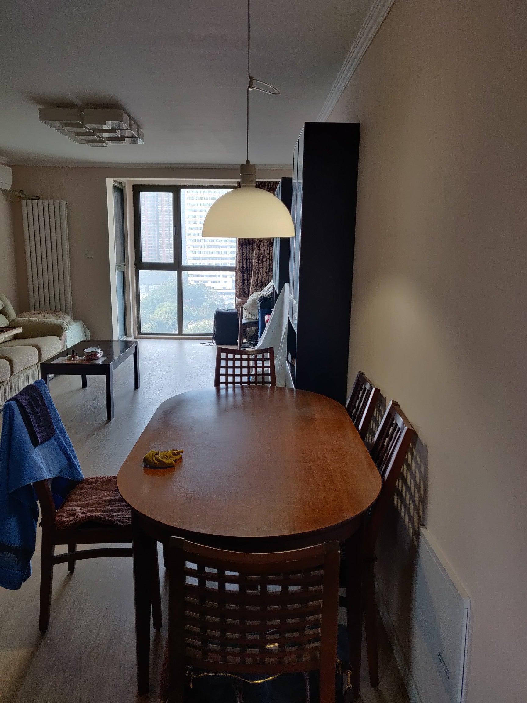 Lyshae Modern Minimalist Nordic Glass Metal Pendant Light - Blowlighting