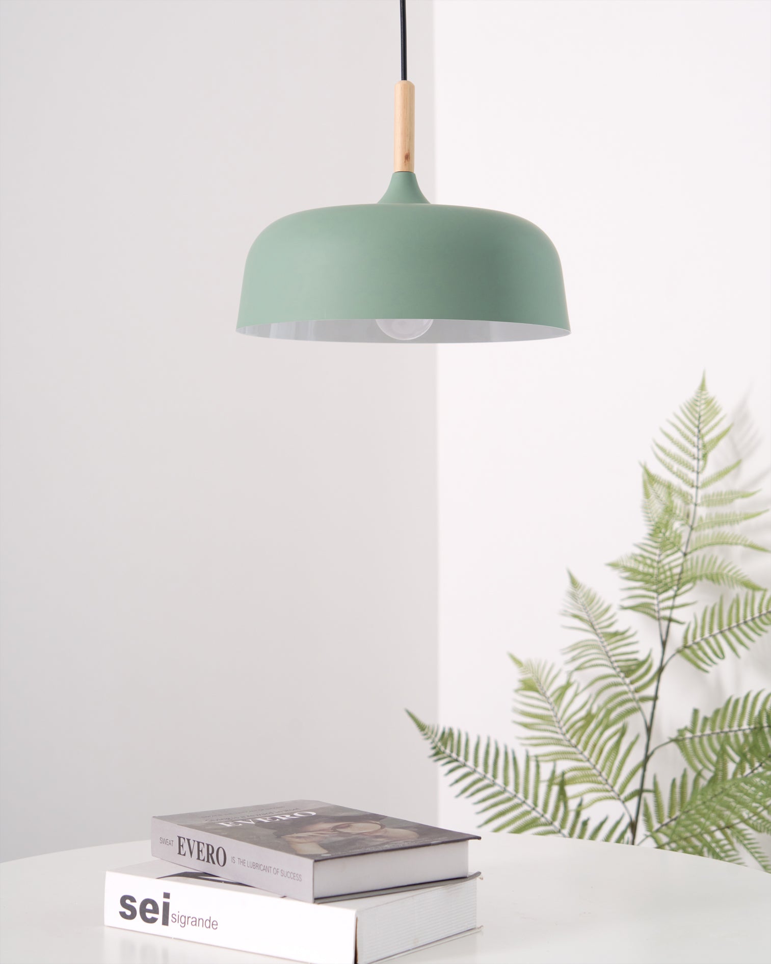 Acorn Pendant Light - Blowlighting