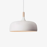 Acorn Pendant Light - Blowlighting