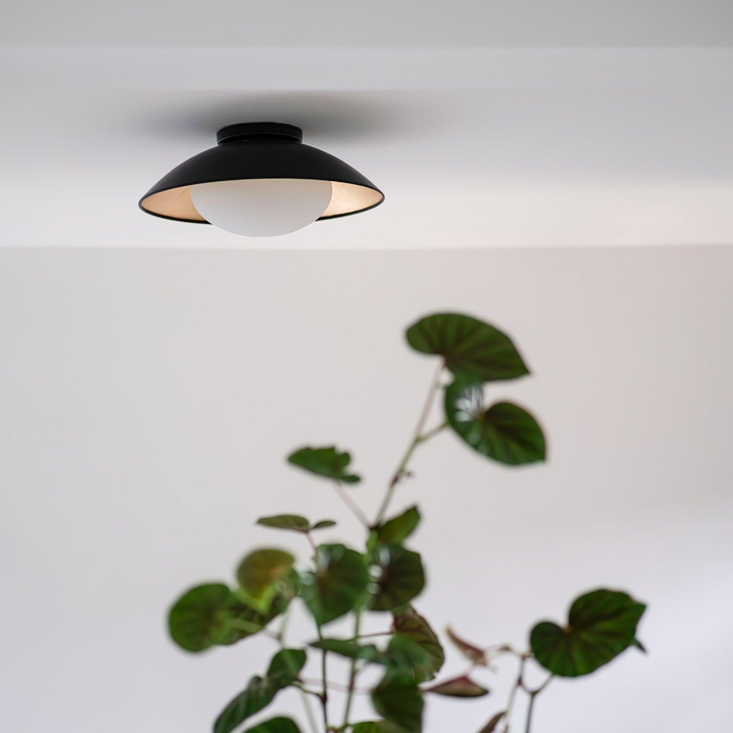 Arinora Ceiling Light - Blowlighting