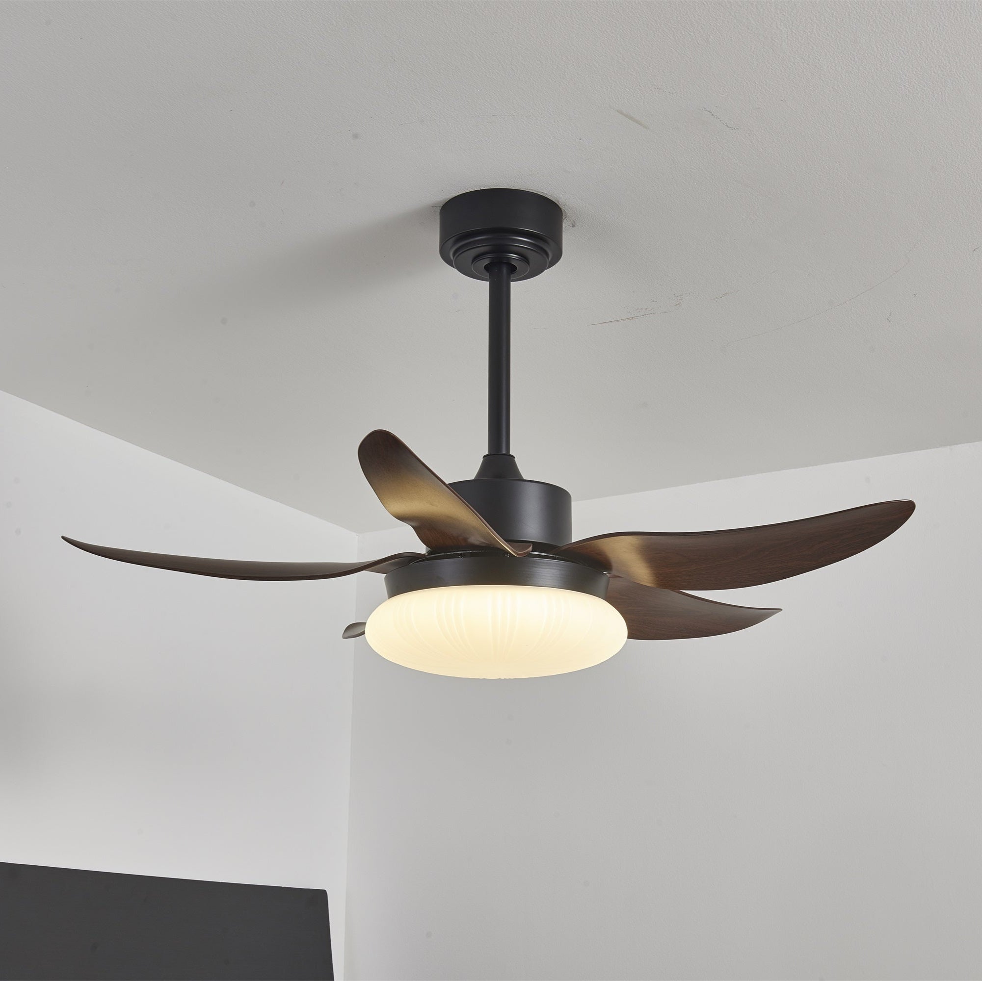 Zerith Modern Wood Ceiling Fan Light - Blowlighting