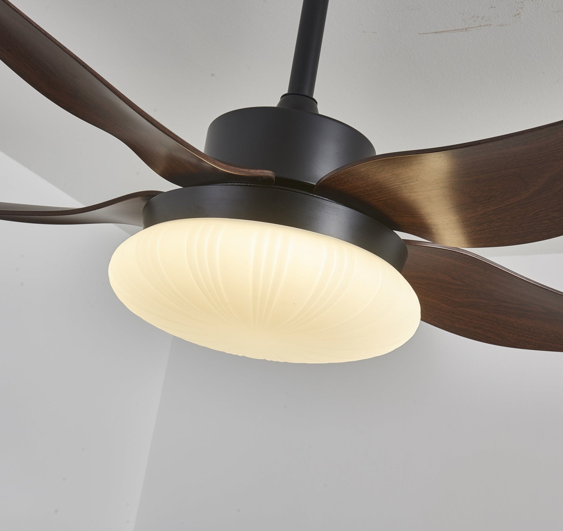 Zerith Modern Wood Ceiling Fan Light - Blowlighting