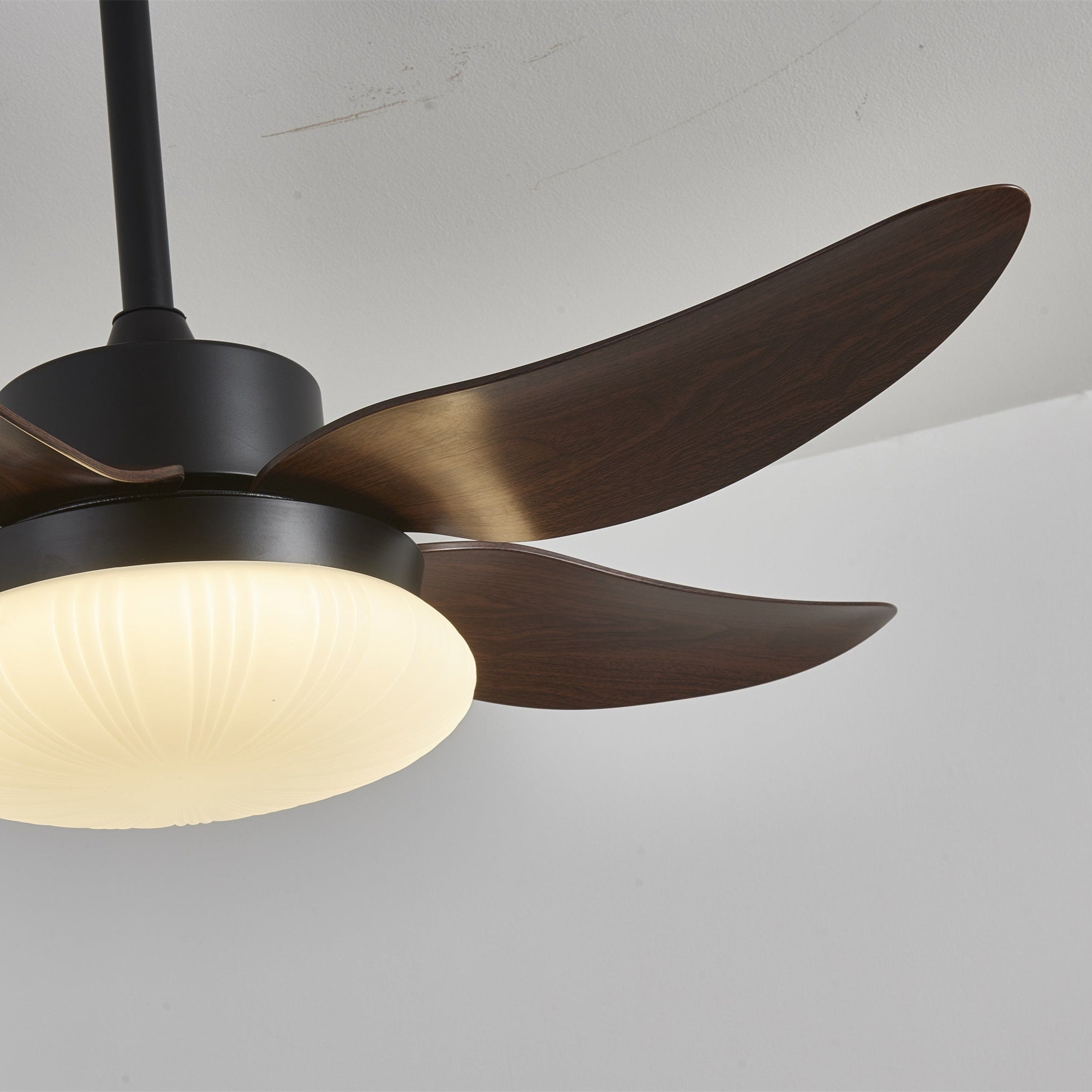 Zerith Modern Wood Ceiling Fan Light - Blowlighting