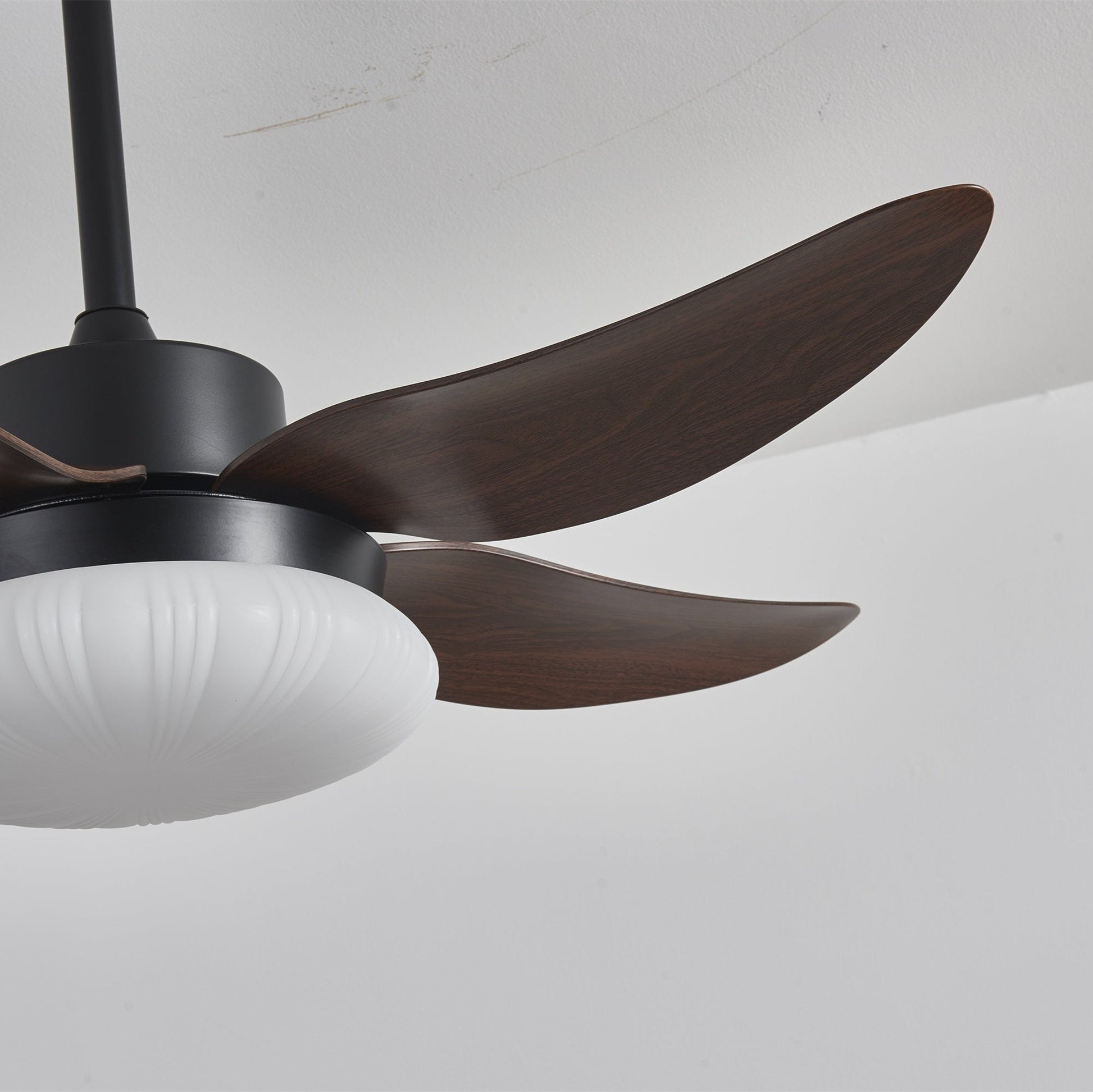 Zerith Modern Wood Ceiling Fan Light - Blowlighting