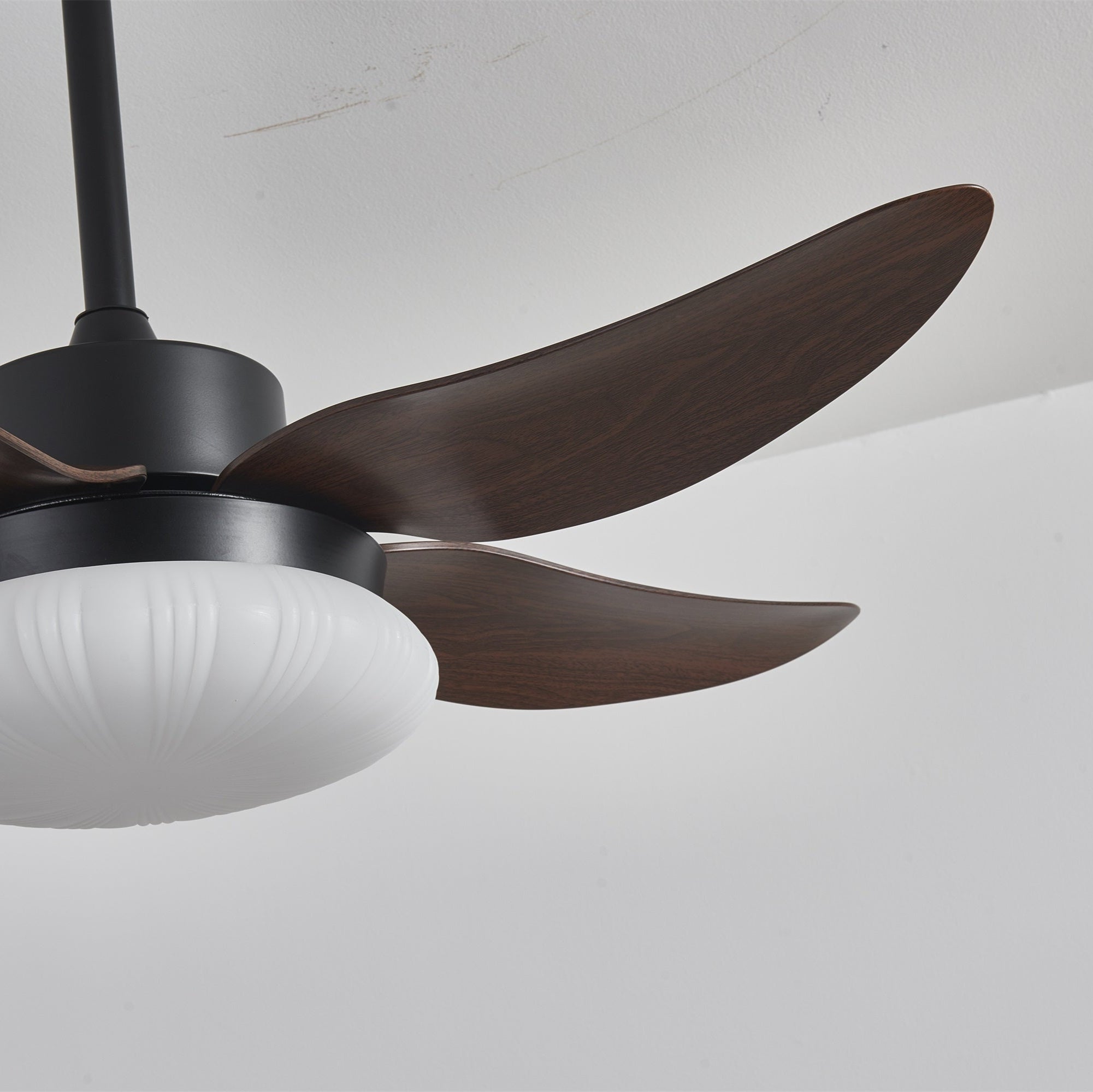 Zerith Modern Wood Ceiling Fan Light - Blowlighting