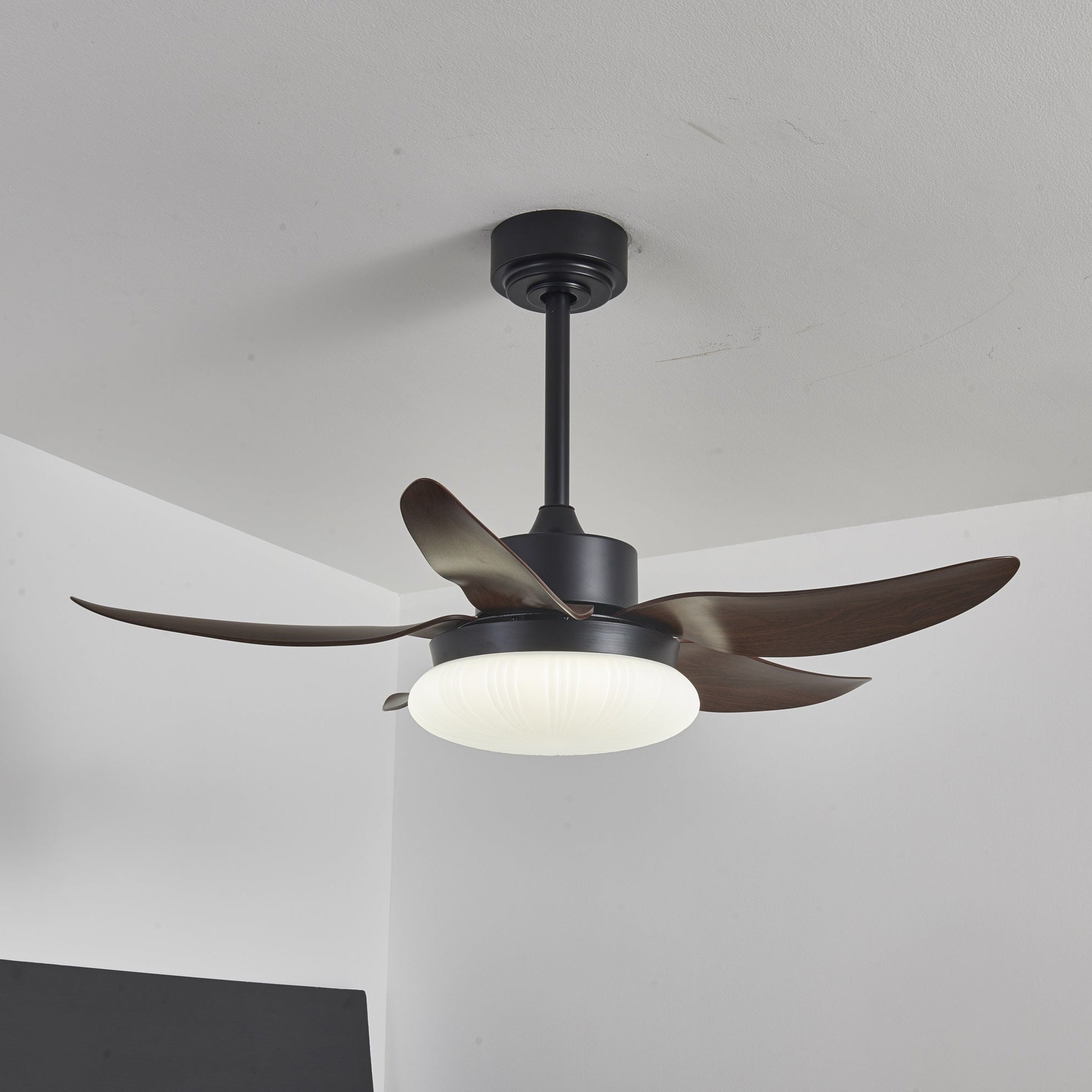 Zerith Modern Wood Ceiling Fan Light - Blowlighting