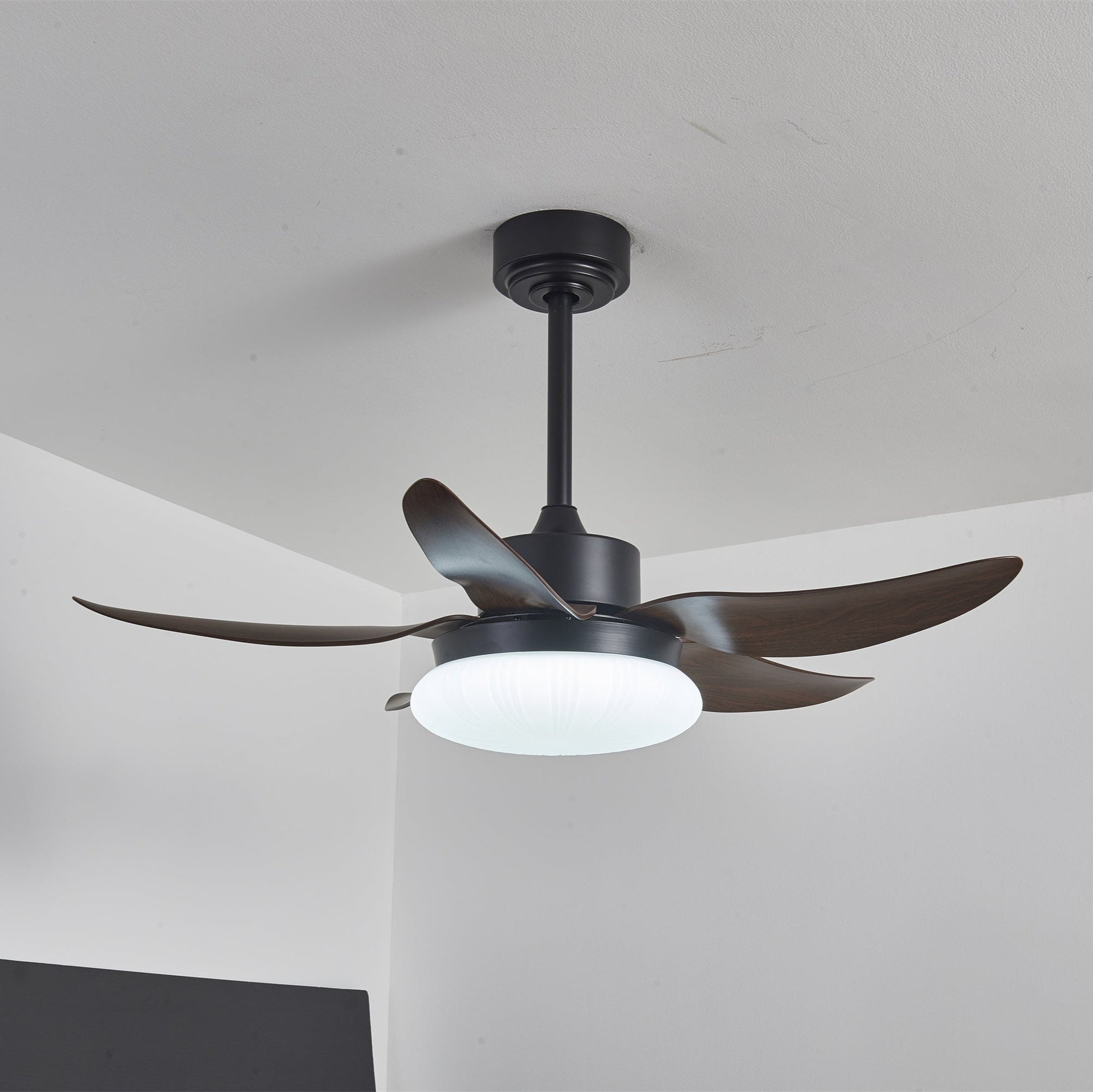 Zerith Modern Wood Ceiling Fan Light - Blowlighting