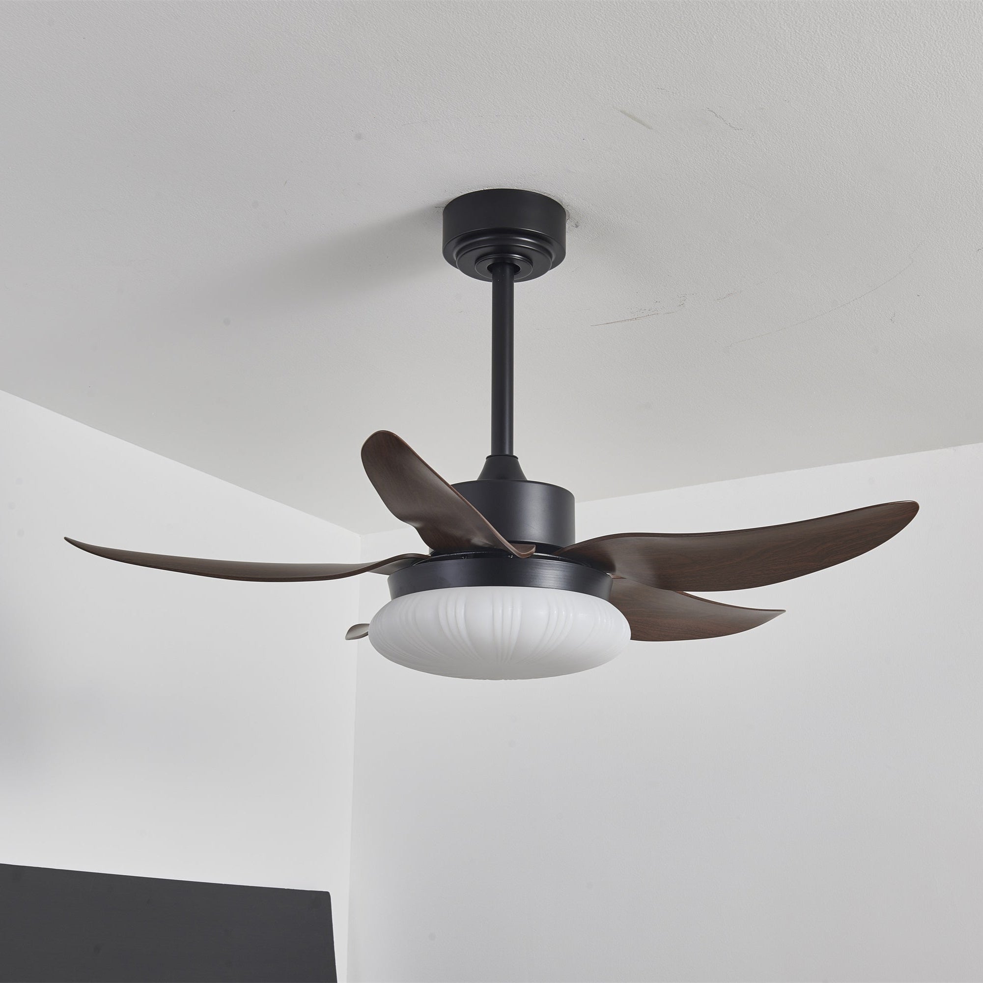Zerith Modern Wood Ceiling Fan Light - Blowlighting