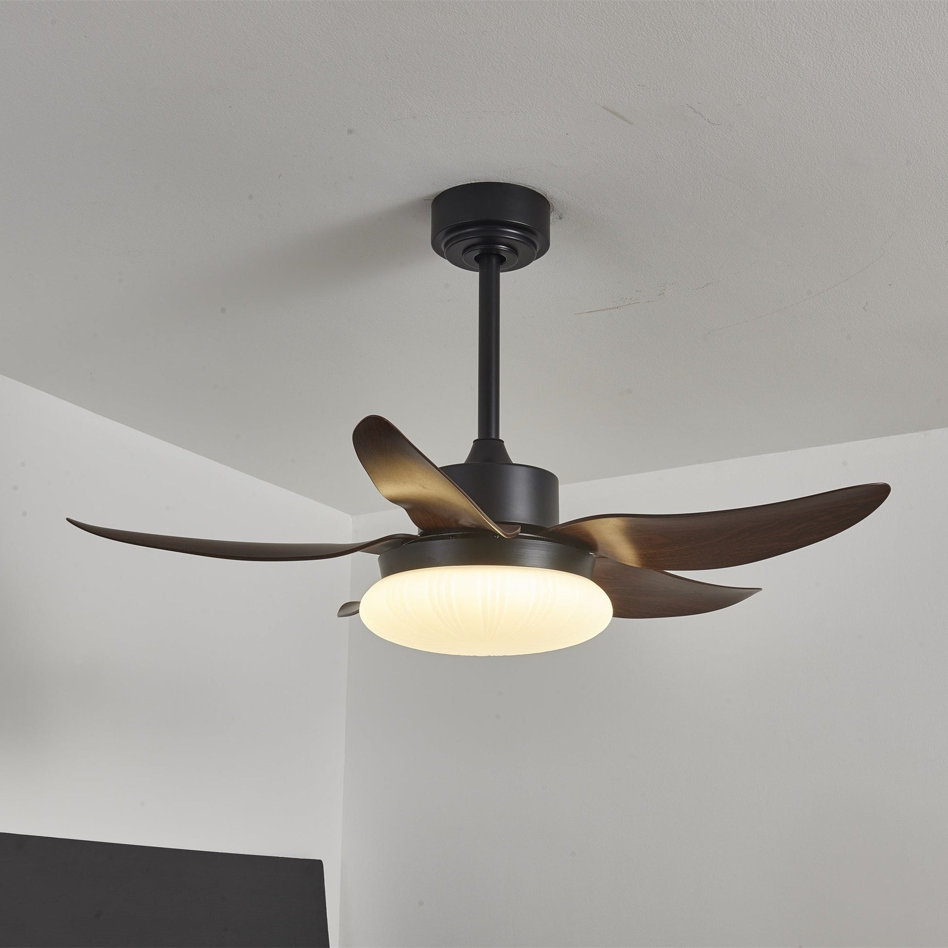 Zerith Modern Wood Ceiling Fan Light - Blowlighting