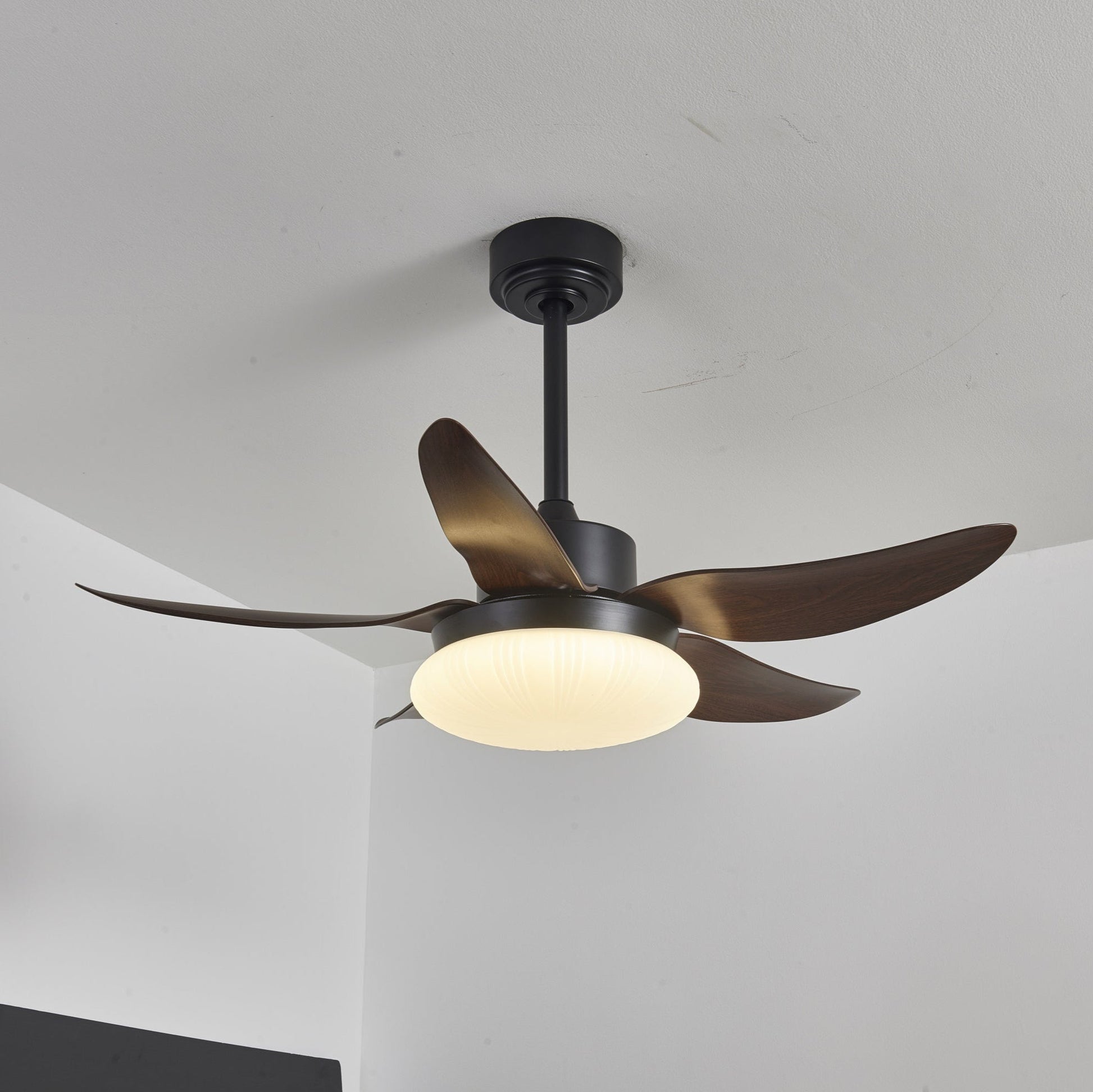 Zerith Modern Wood Ceiling Fan Light - Blowlighting