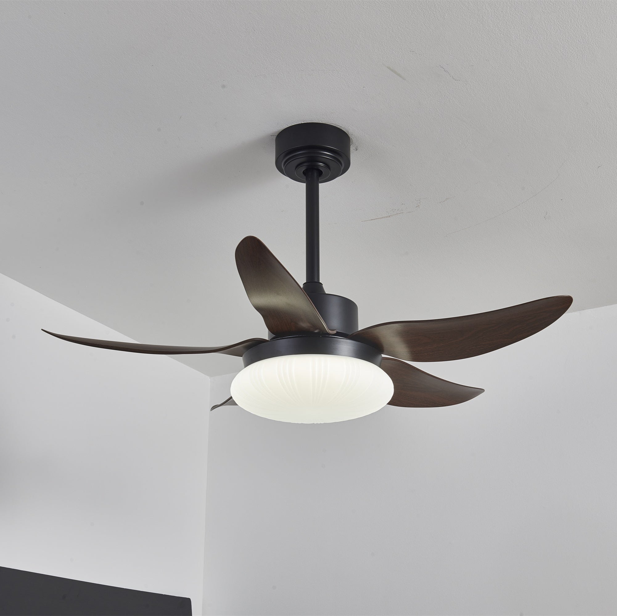 Zerith Modern Wood Ceiling Fan Light - Blowlighting