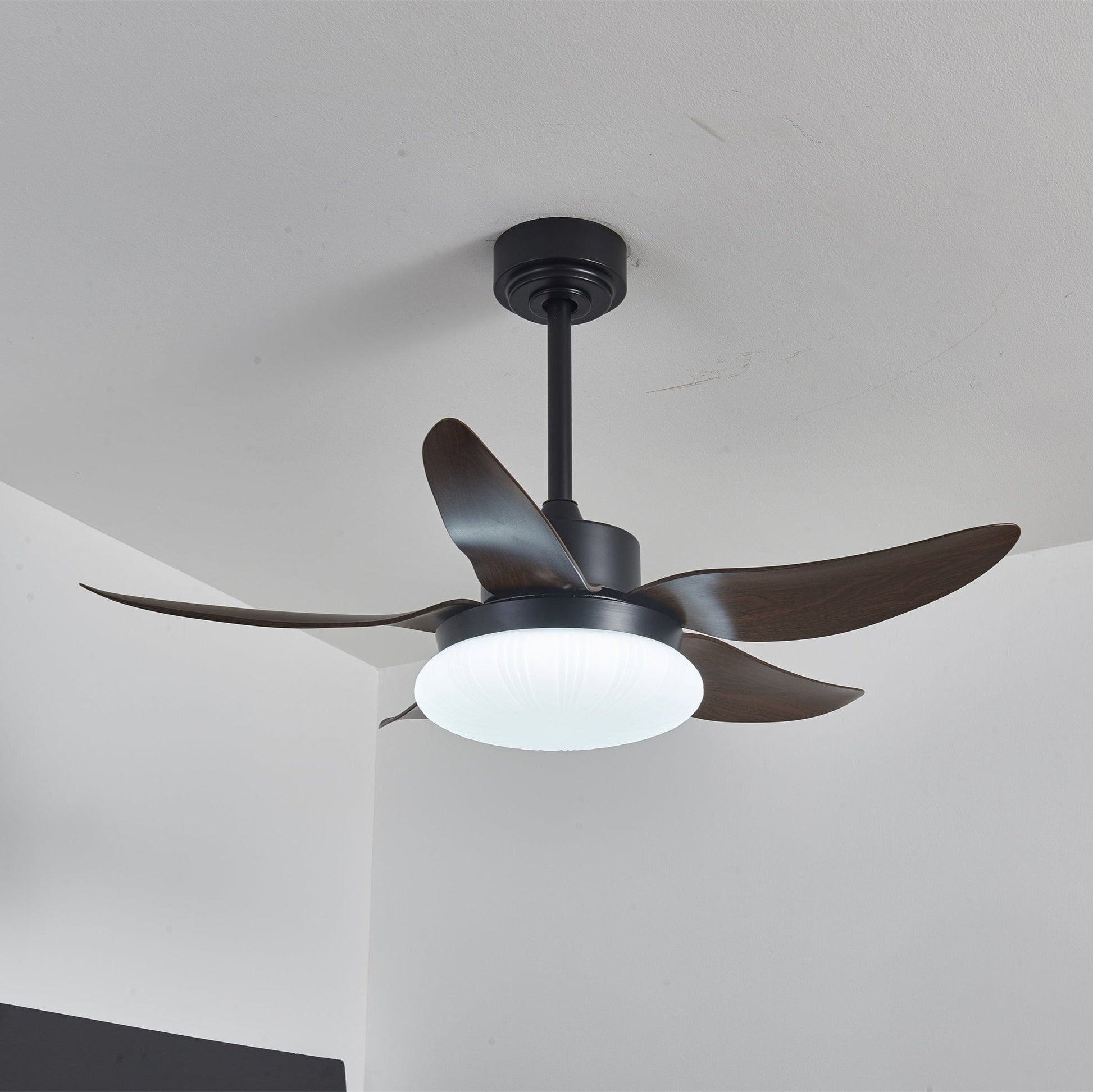 Zerith Modern Wood Ceiling Fan Light - Blowlighting
