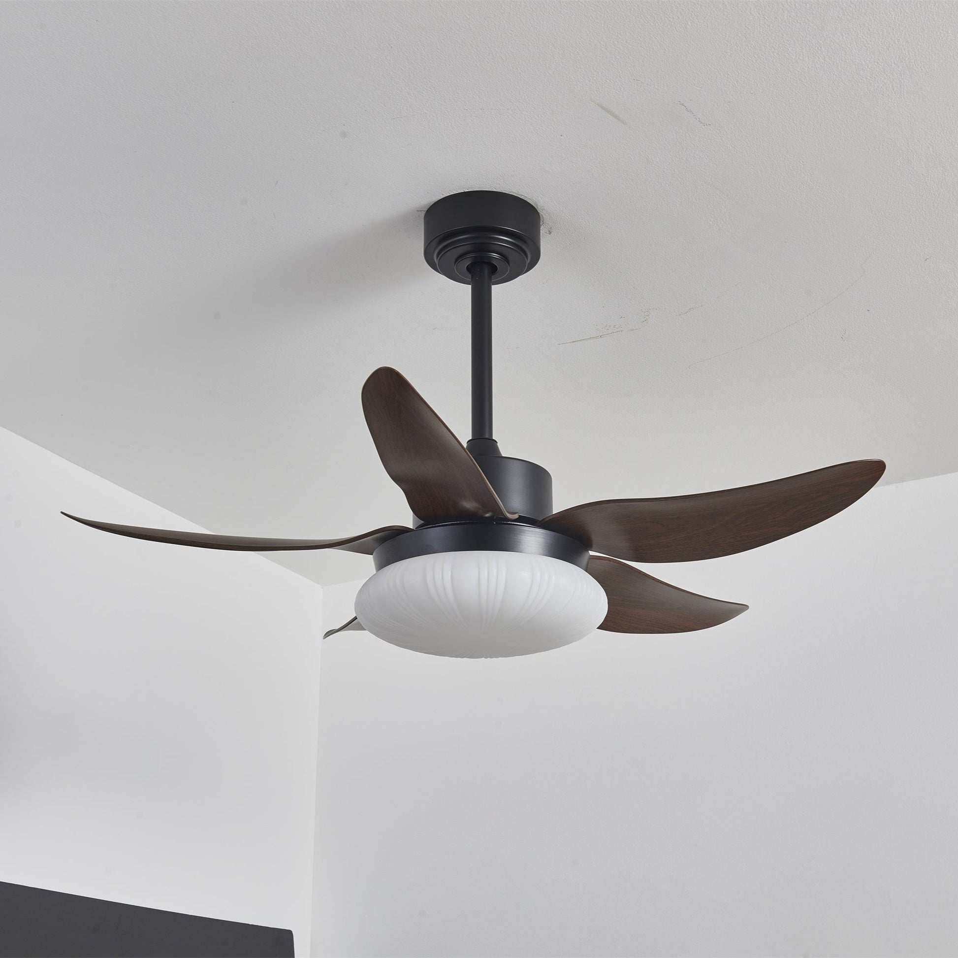 Zerith Modern Wood Ceiling Fan Light - Blowlighting