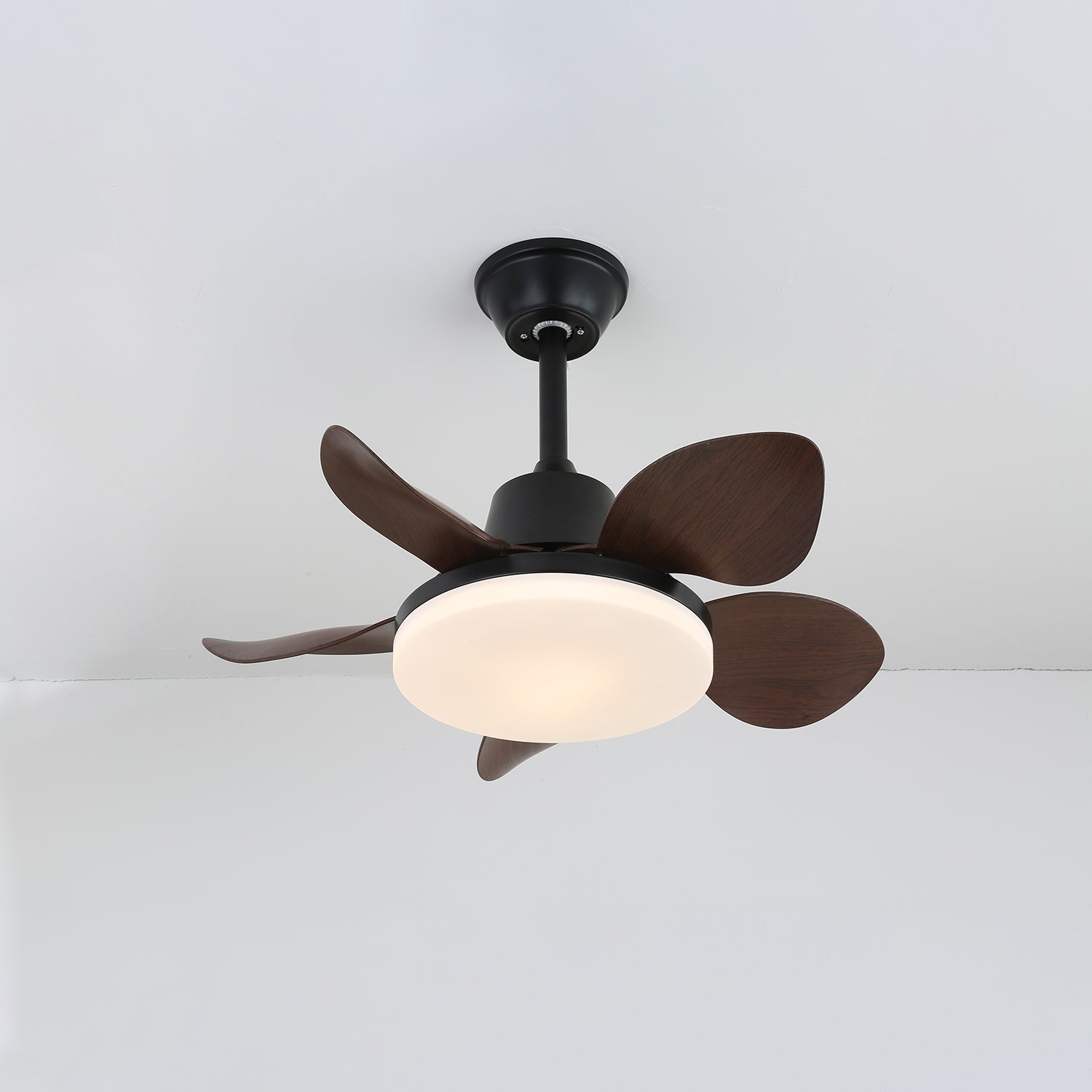 Veyra Modern Wood Ceiling Fan Light - Blowlighting