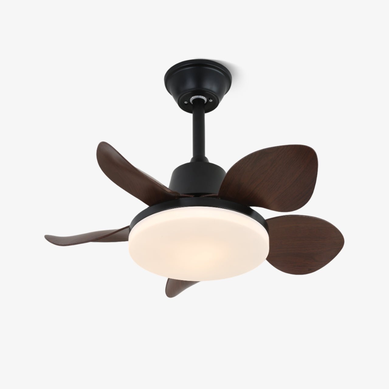 Veyra Modern Wood Ceiling Fan Light - Blowlighting