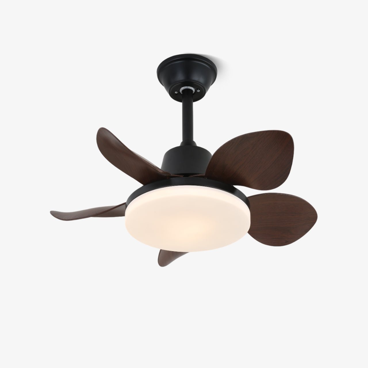 Veyra Modern Wood Ceiling Fan Light - Blowlighting