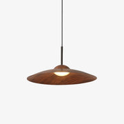 Arcadian Pendant Light - Blowlighting