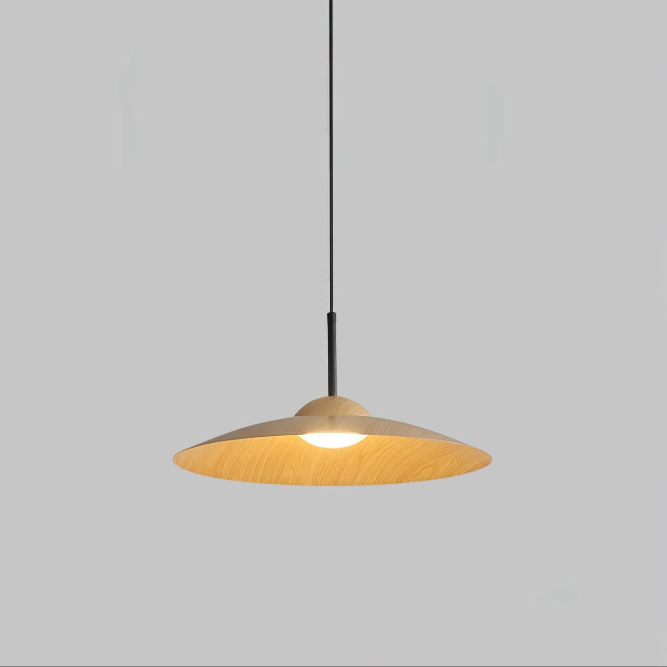 Arcadian Pendant Light - Blowlighting