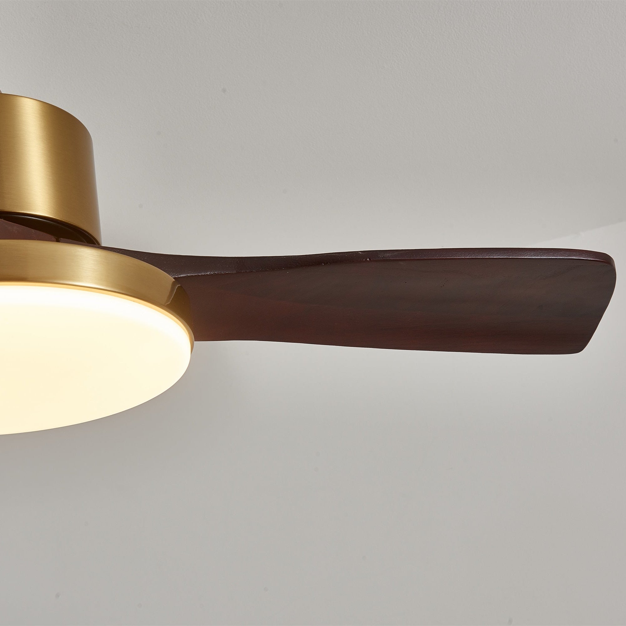 Aurelia Modern Wood Ceiling Fan Light - Blowlighting