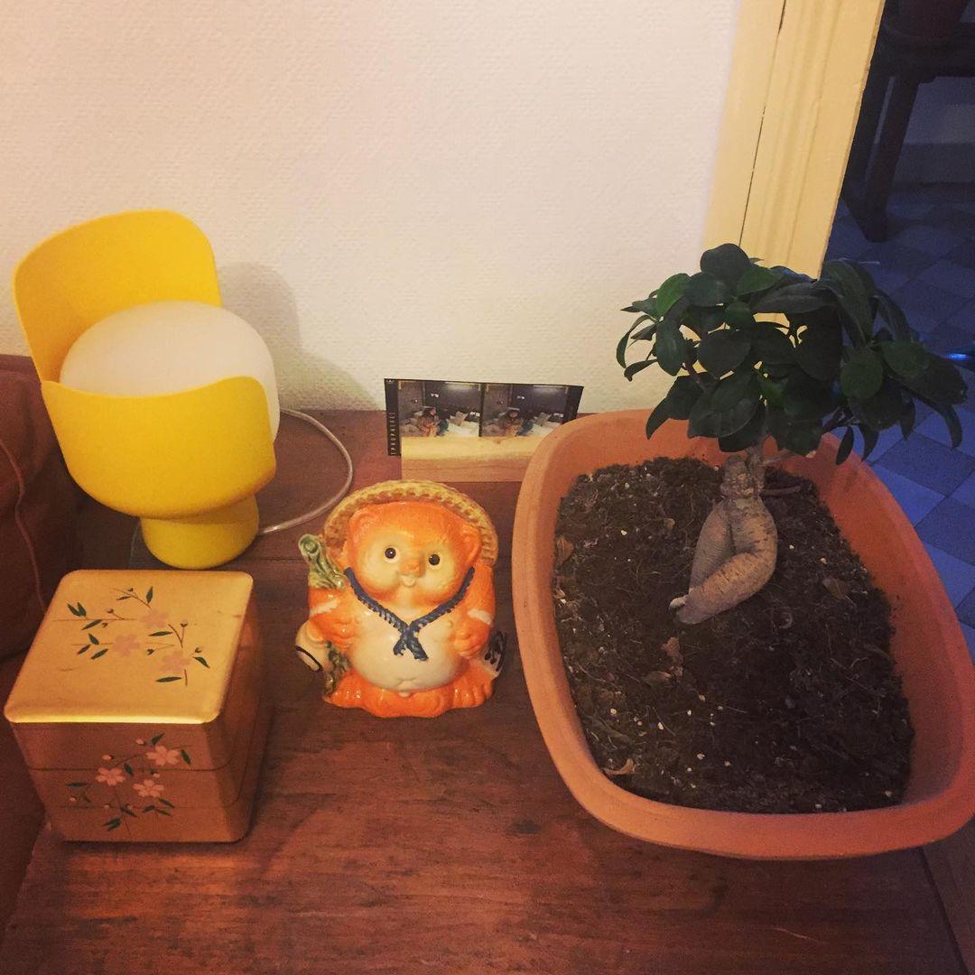 Petals Glass Table Lamp - Blowlighting