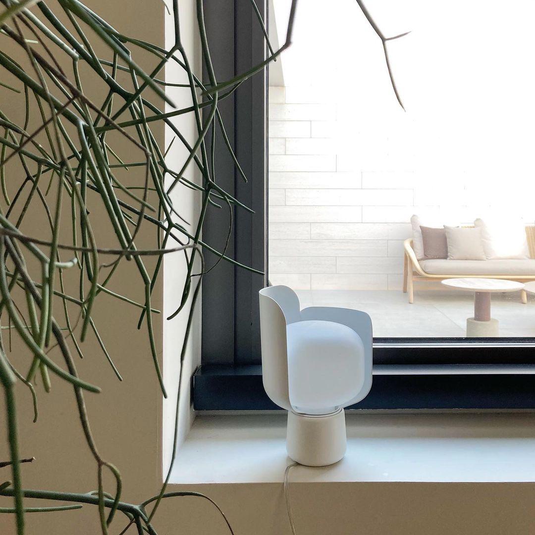 Petals Glass Table Lamp - Blowlighting