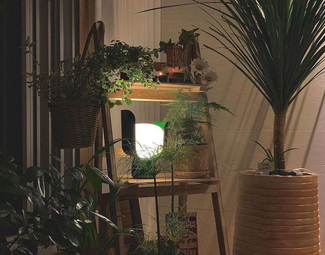 Petals Glass Table Lamp - Blowlighting