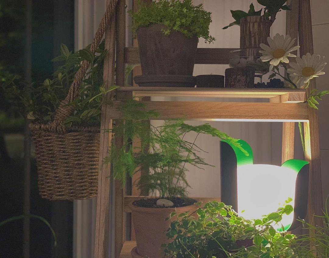 Petals Glass Table Lamp - Blowlighting