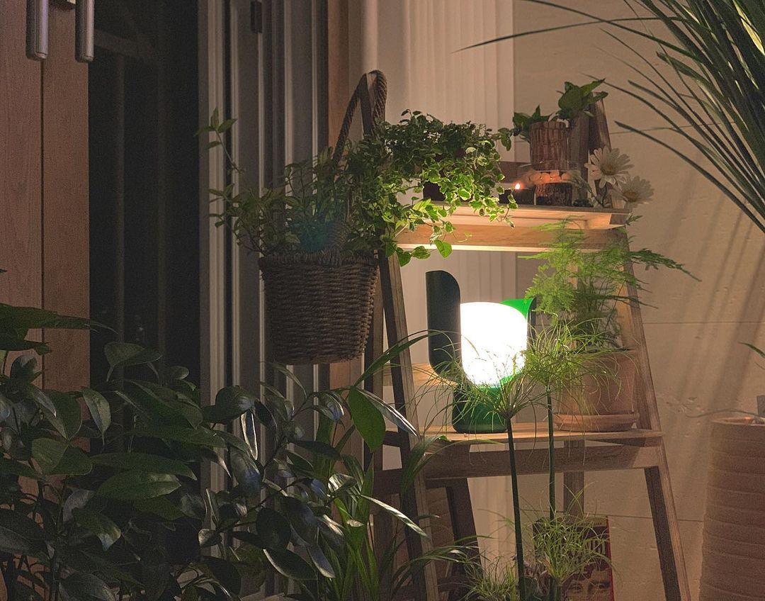 Petals Glass Table Lamp - Blowlighting