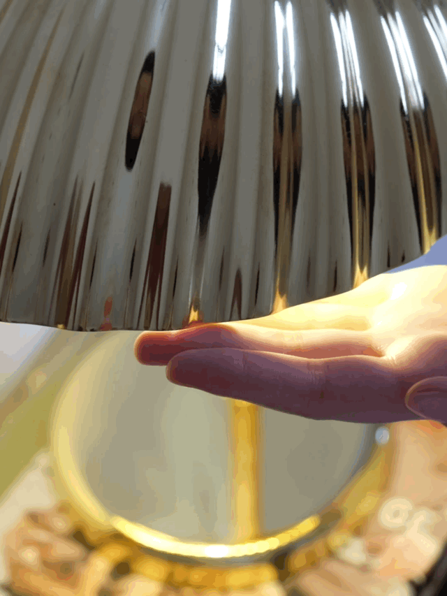 Brass Shell Table Lamp - Blowlighting