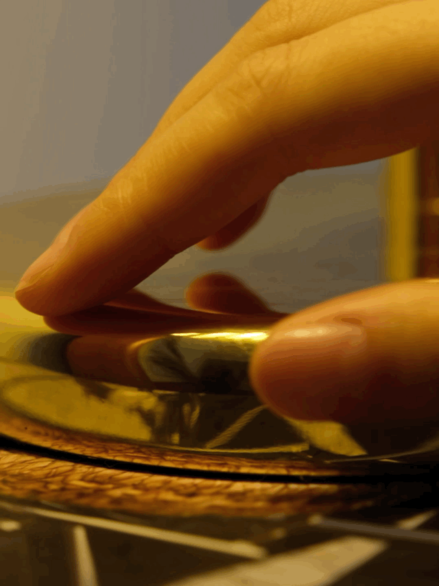 Brass Shell Table Lamp - Blowlighting