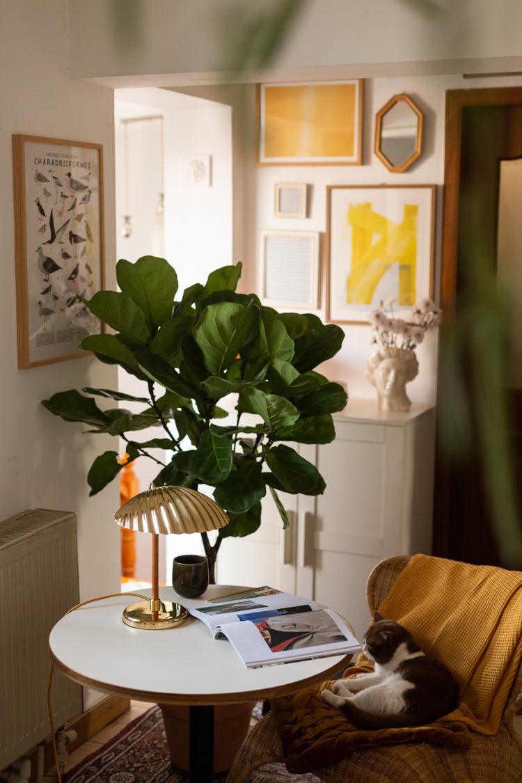 Brass Shell Table Lamp - Blowlighting