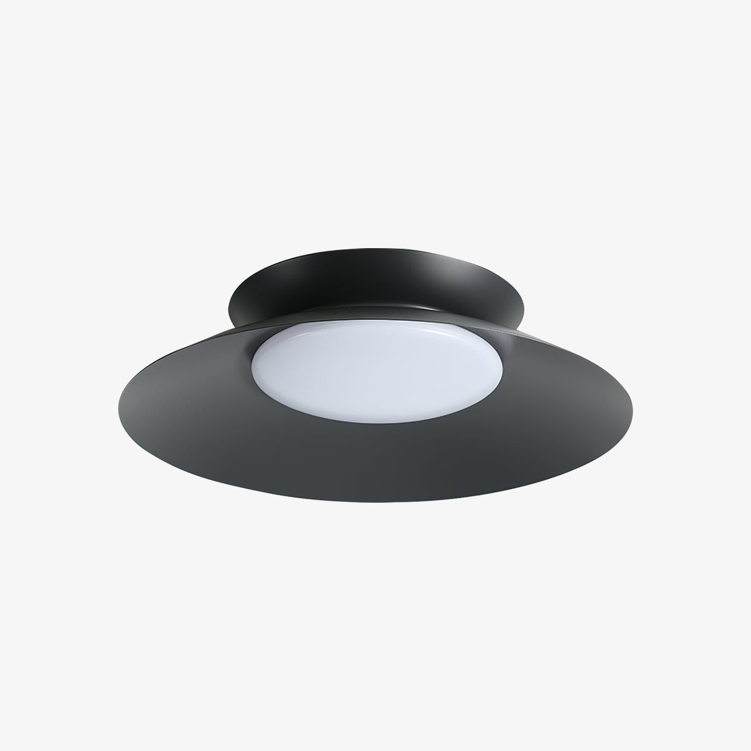 Zezoraris Ceiling Light - Blowlighting