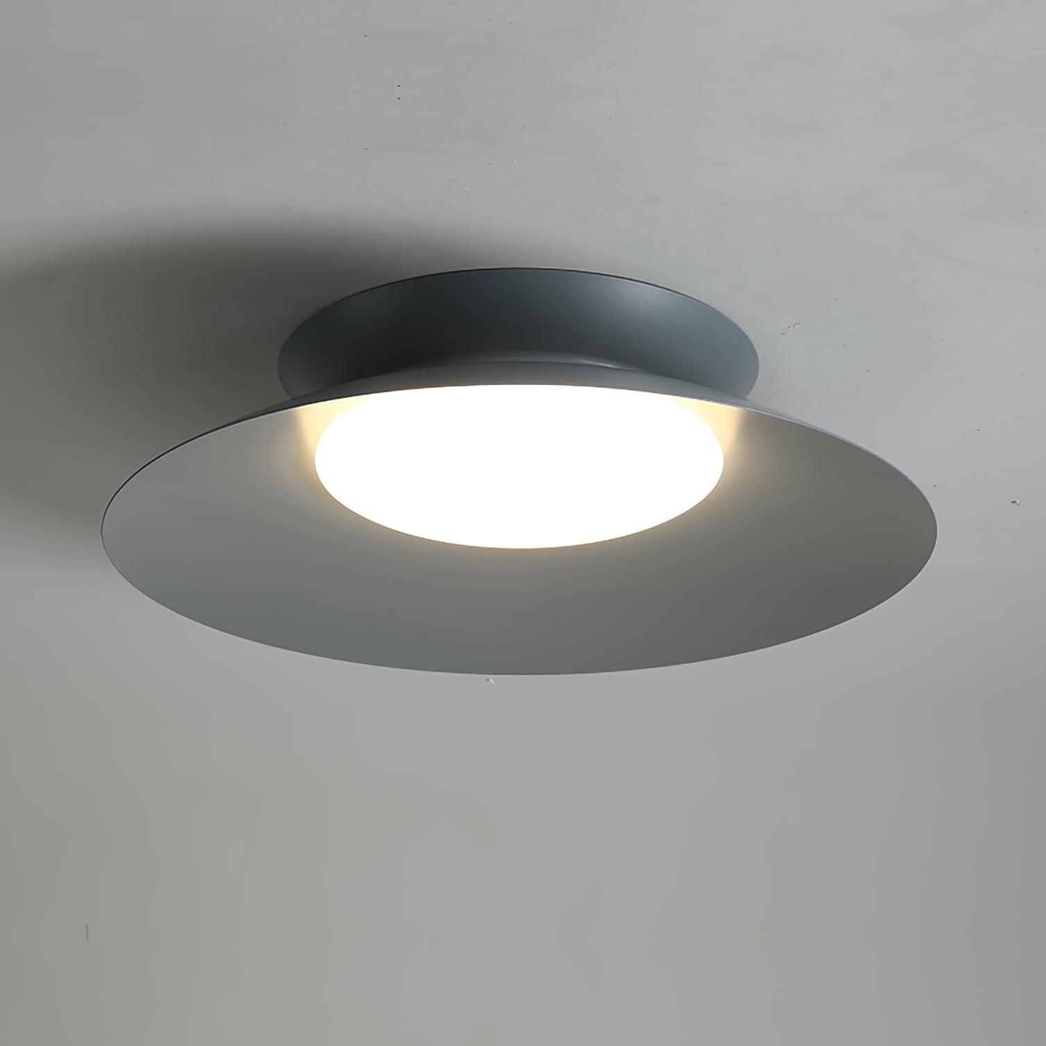 Zezoraris Ceiling Light - Blowlighting