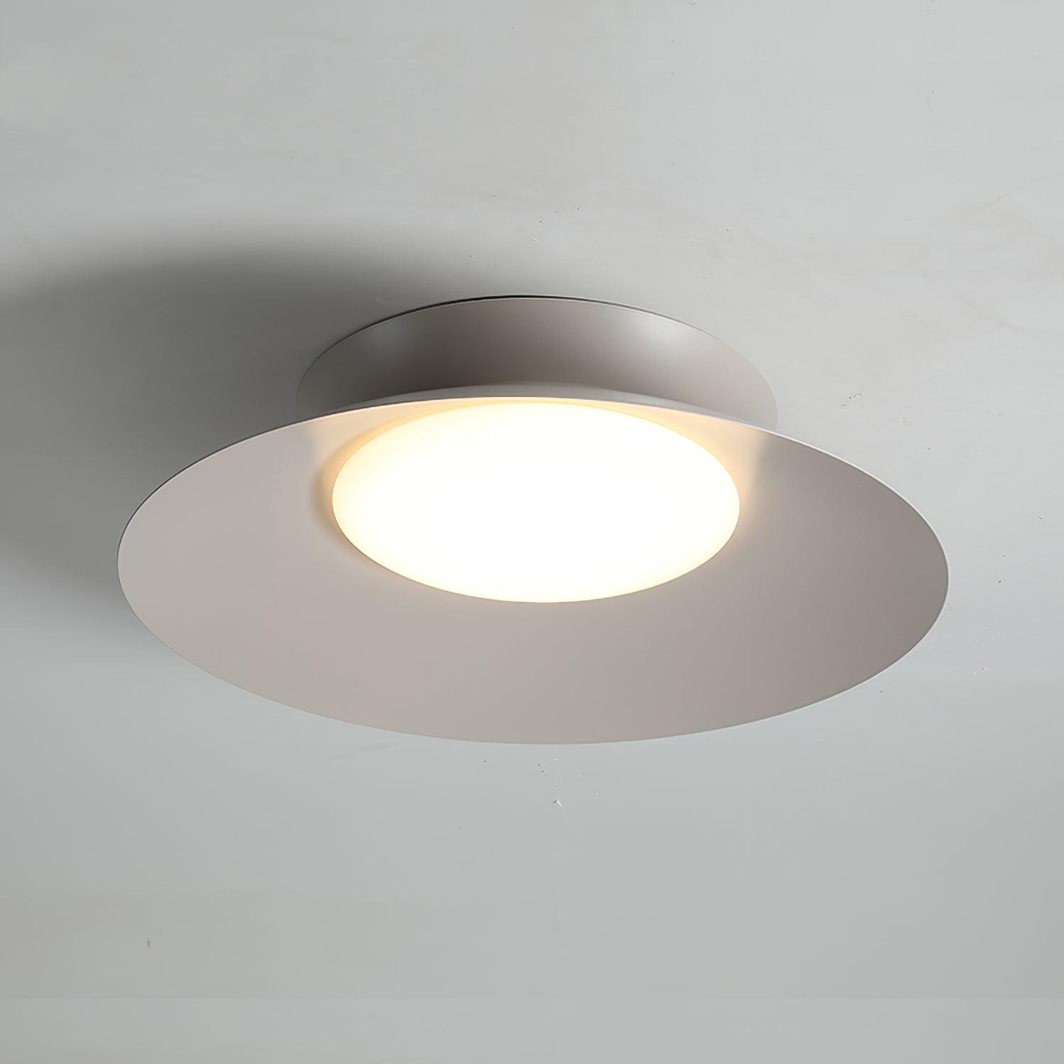 Zezoraris Ceiling Light - Blowlighting