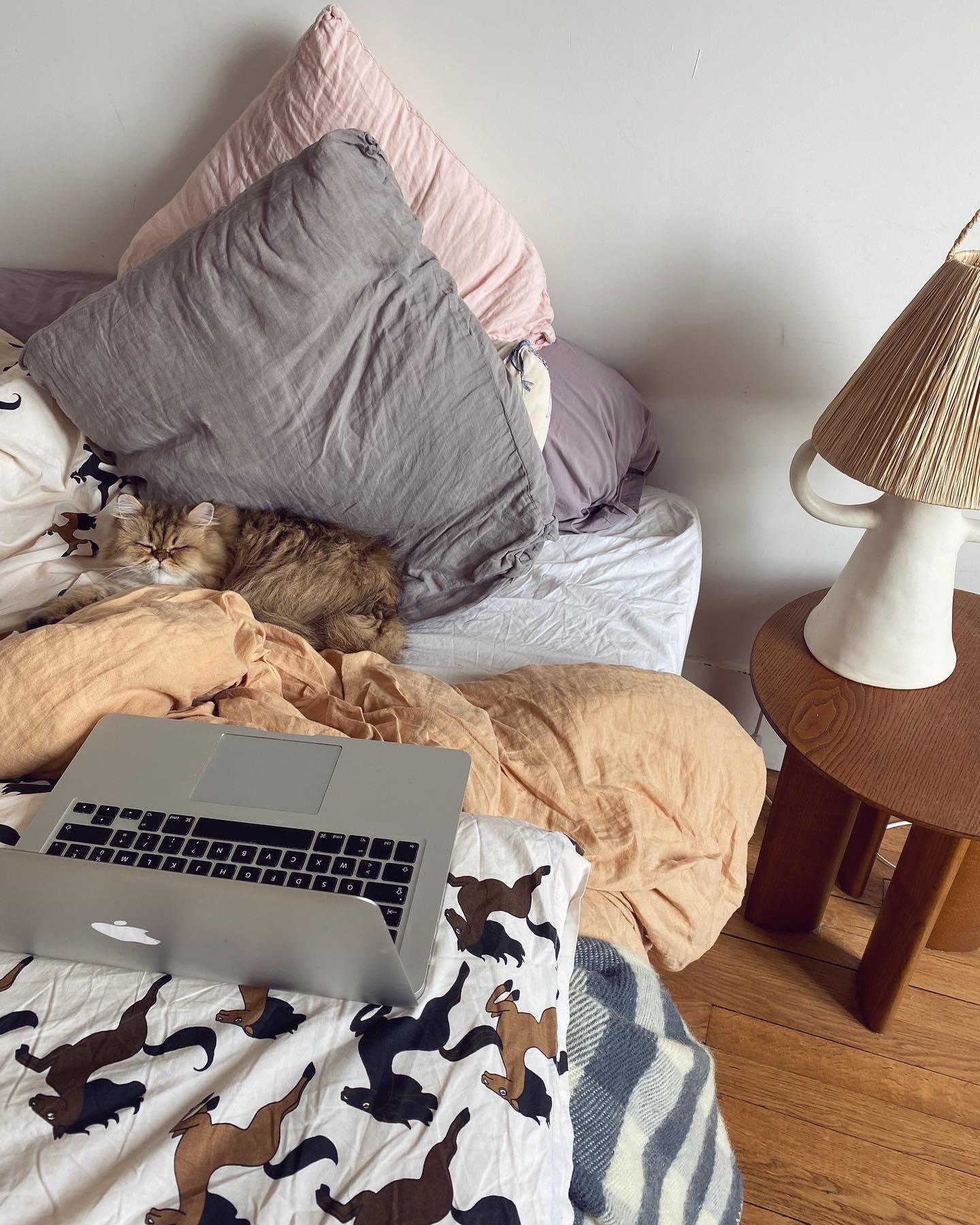 Erphaira Artistic Glass Wall Light - Blowlighting