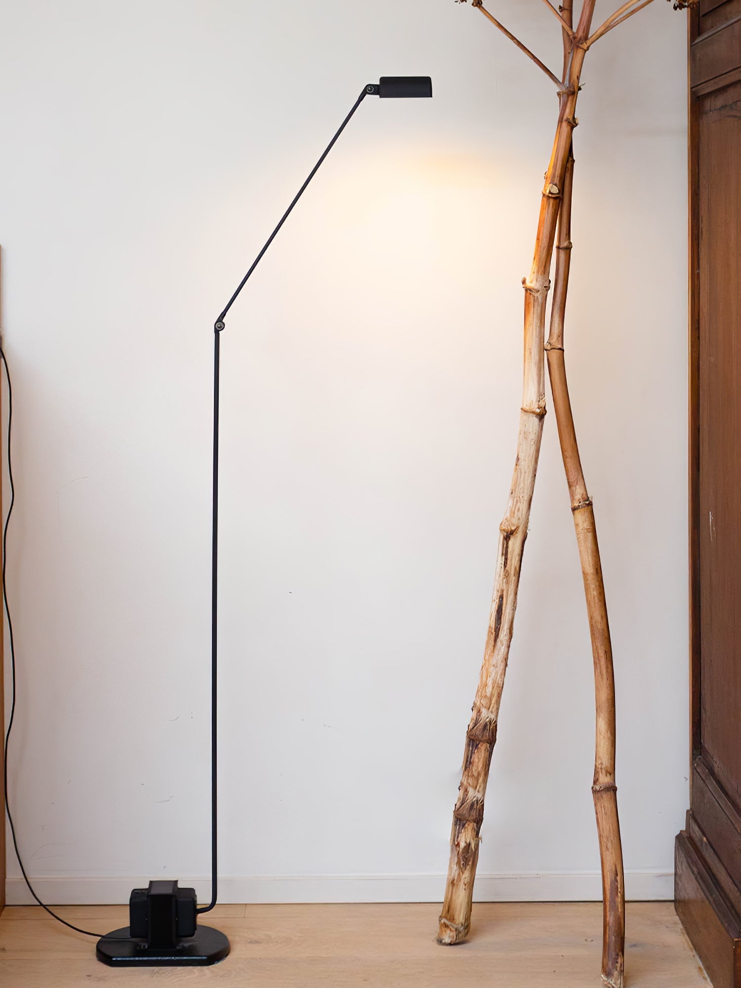Dynamo Floor Lamp - Blowlighting