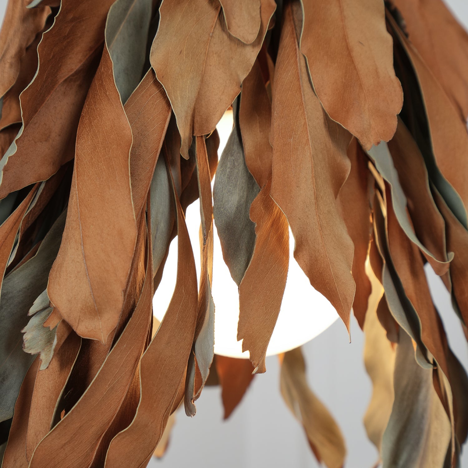 Dried Branch Leaf Pendant Lamp - Blowlighting