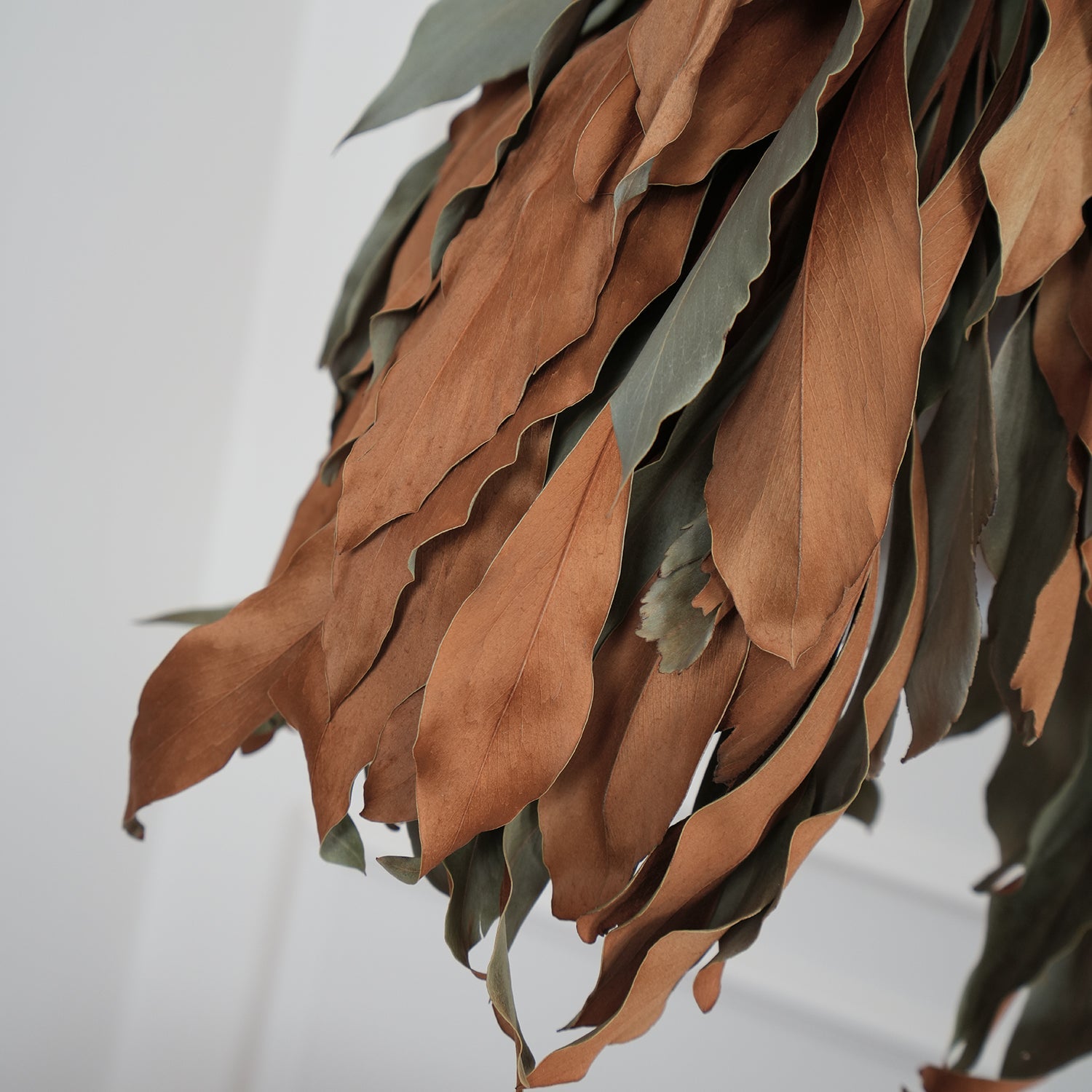 Dried Branch Leaf Pendant Lamp - Blowlighting