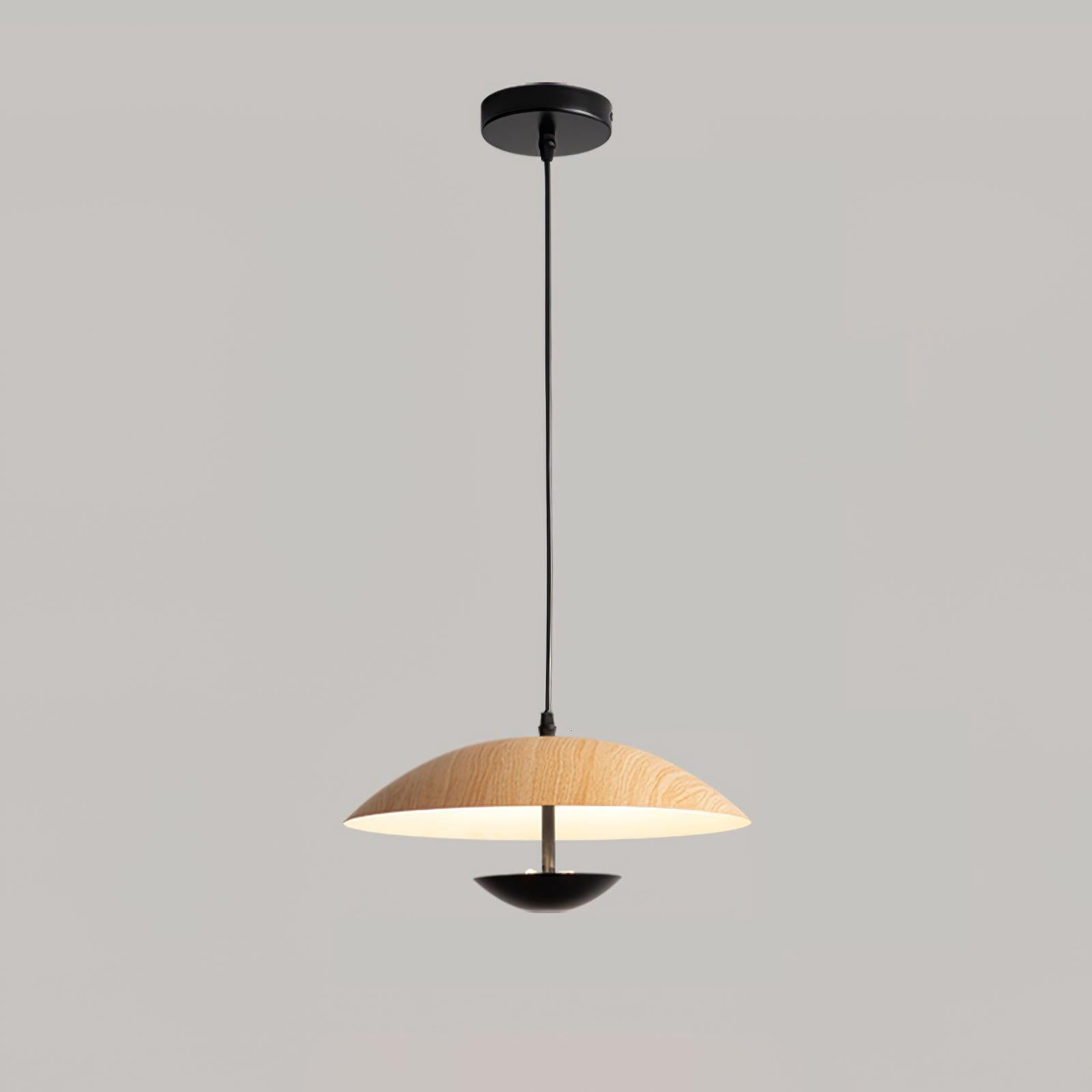 Frisbee Pendant Lamp - Blowlighting