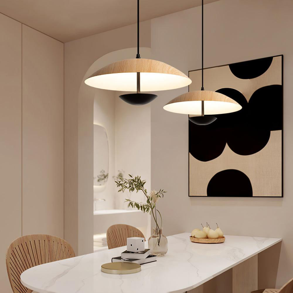Frisbee Pendant Lamp - Blowlighting