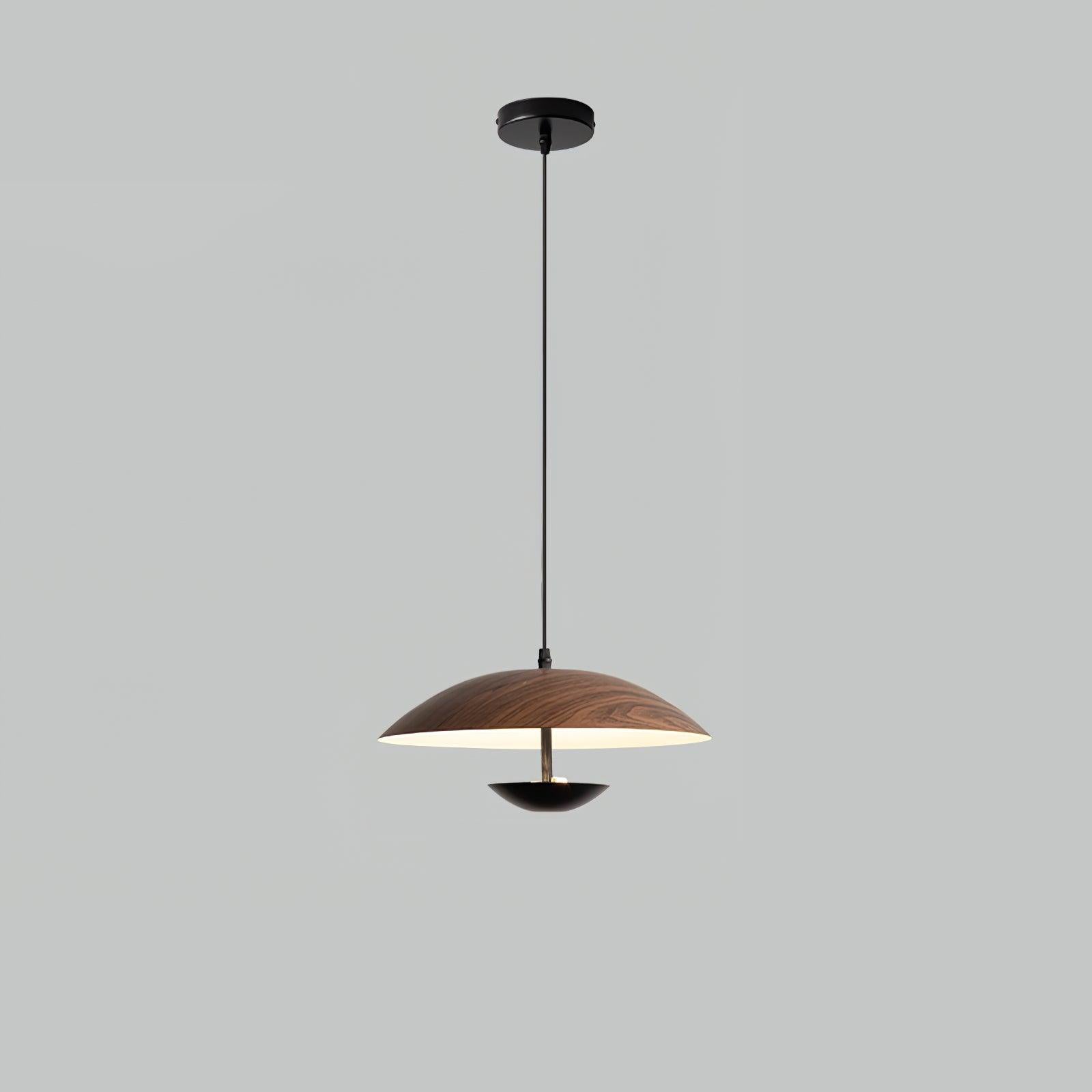 Frisbee Pendant Lamp - Blowlighting
