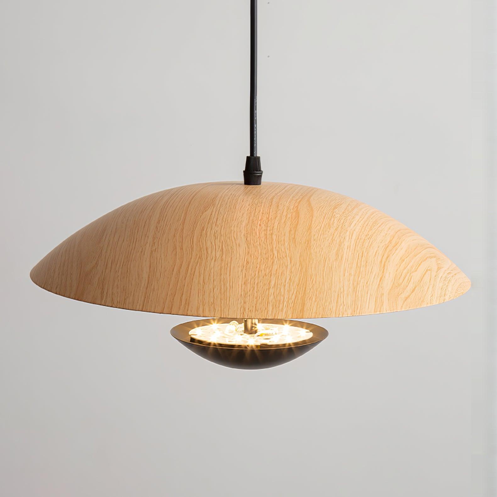 Frisbee Pendant Lamp - Blowlighting