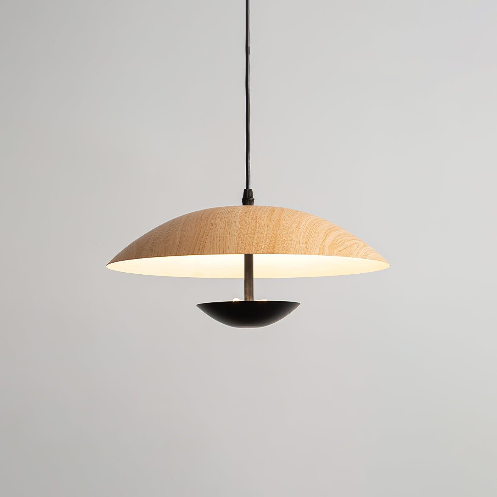 Frisbee Pendant Lamp - Blowlighting