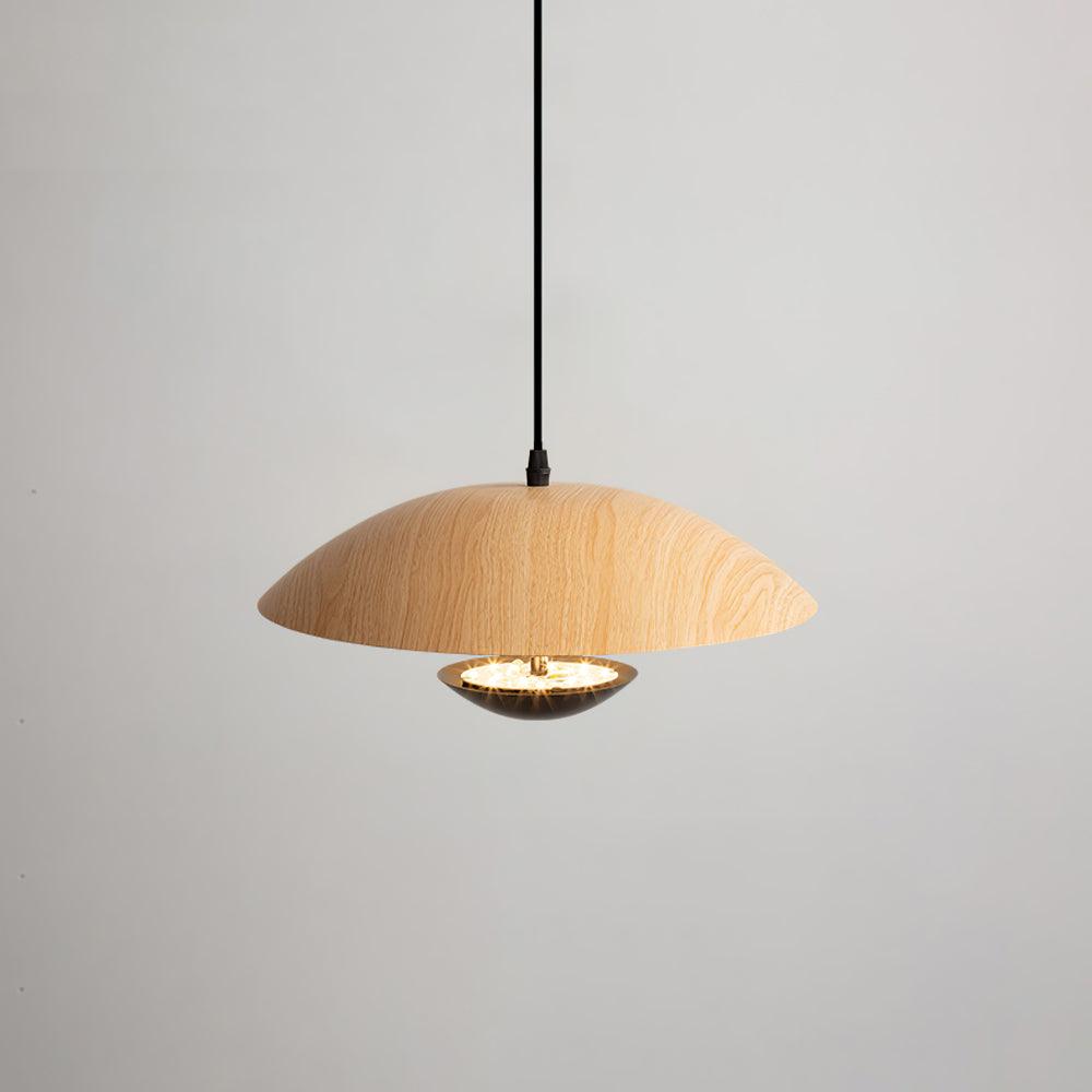 Frisbee Pendant Lamp - Blowlighting